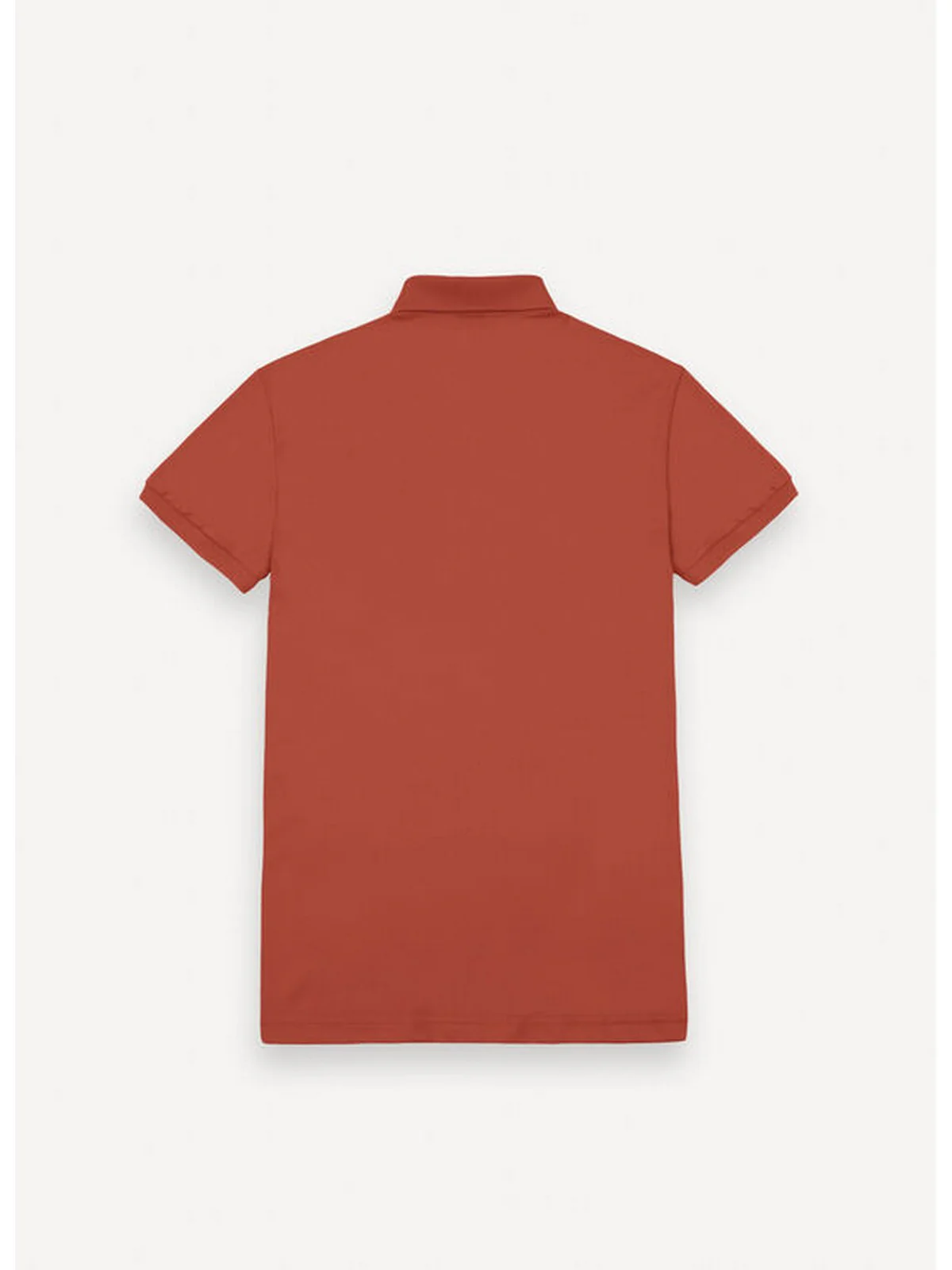 COLMAR Polo Uomo  7646 4SH 712 MARRONE BURNT - Image 6
