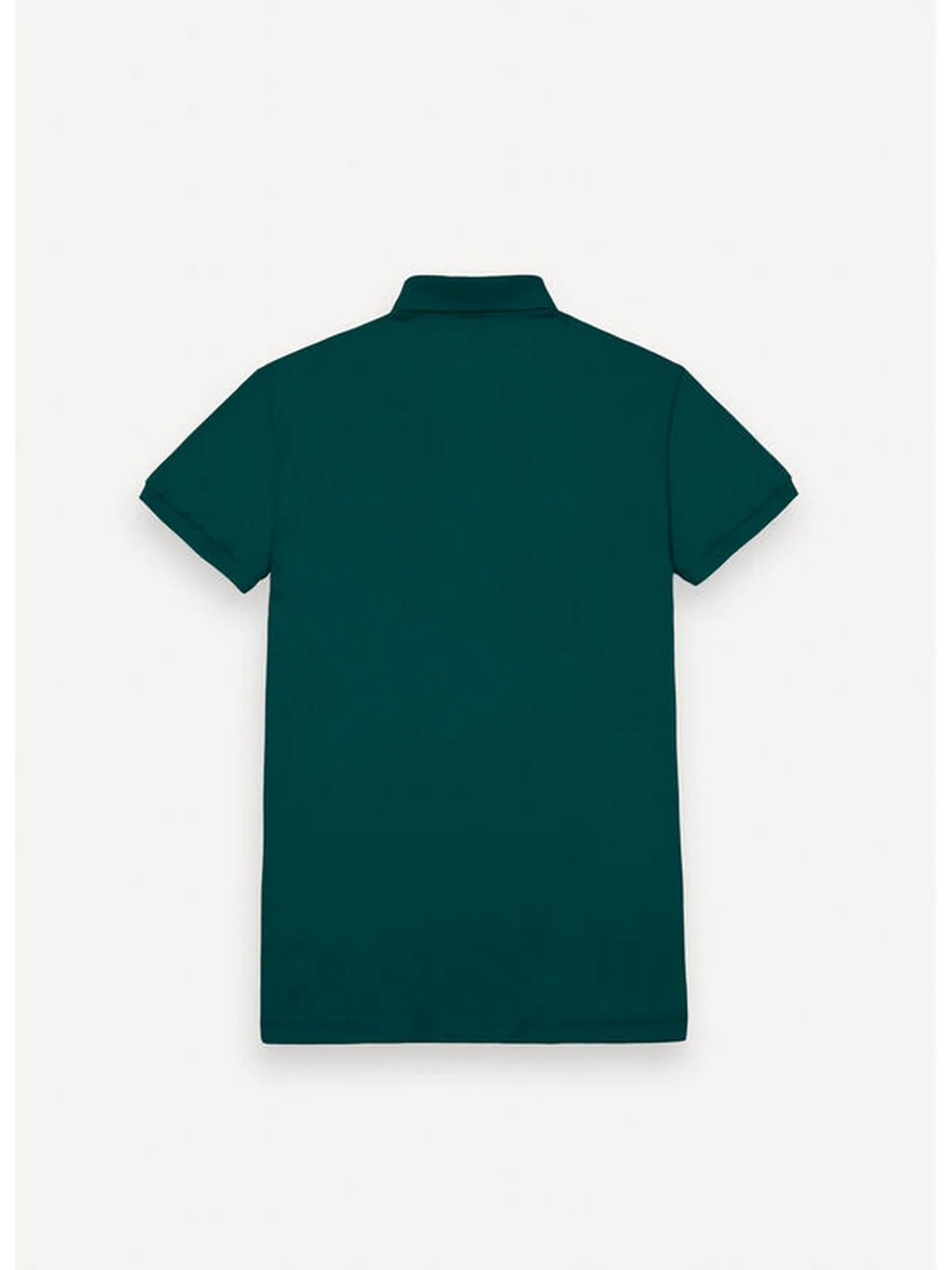COLMAR Polo Uomo  7646 4SH 713 VERDE ROULETTE - Image 6