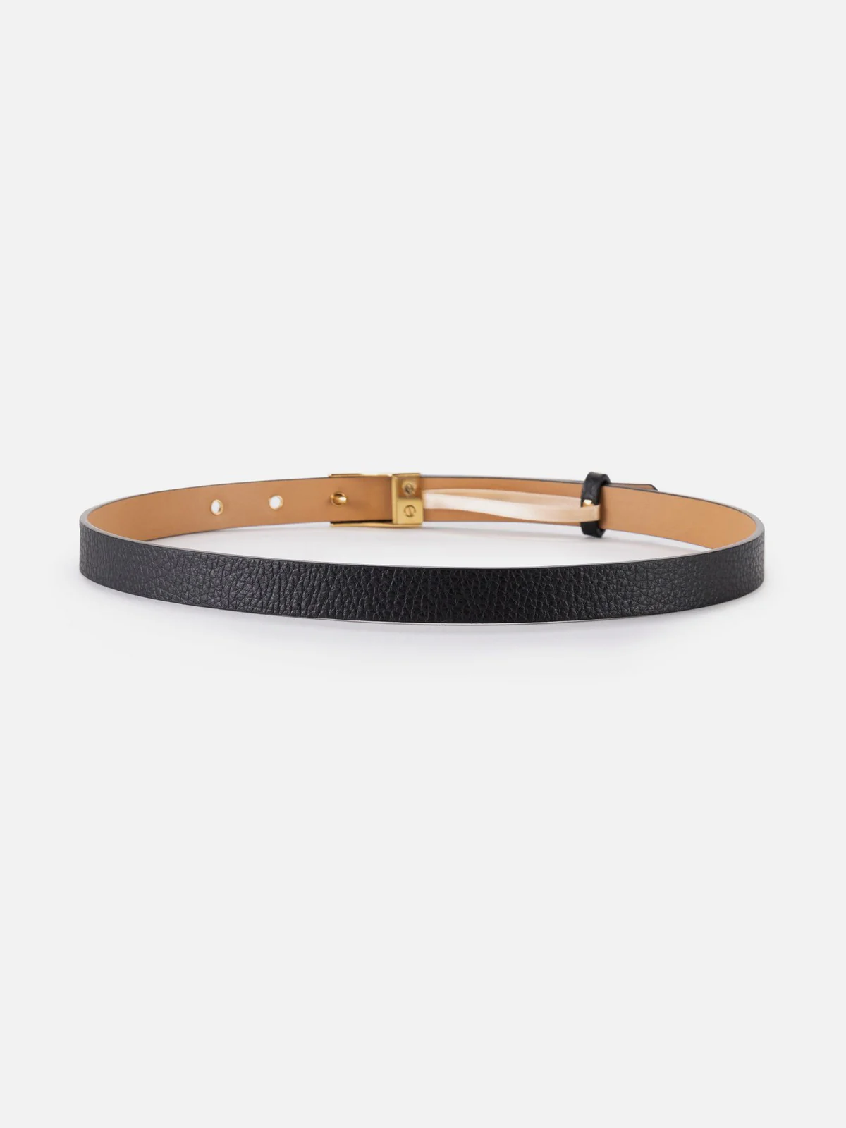 ELISABETTA FRANCHI Cintura Donna  CT23S46E2 110 Nero - Image 2