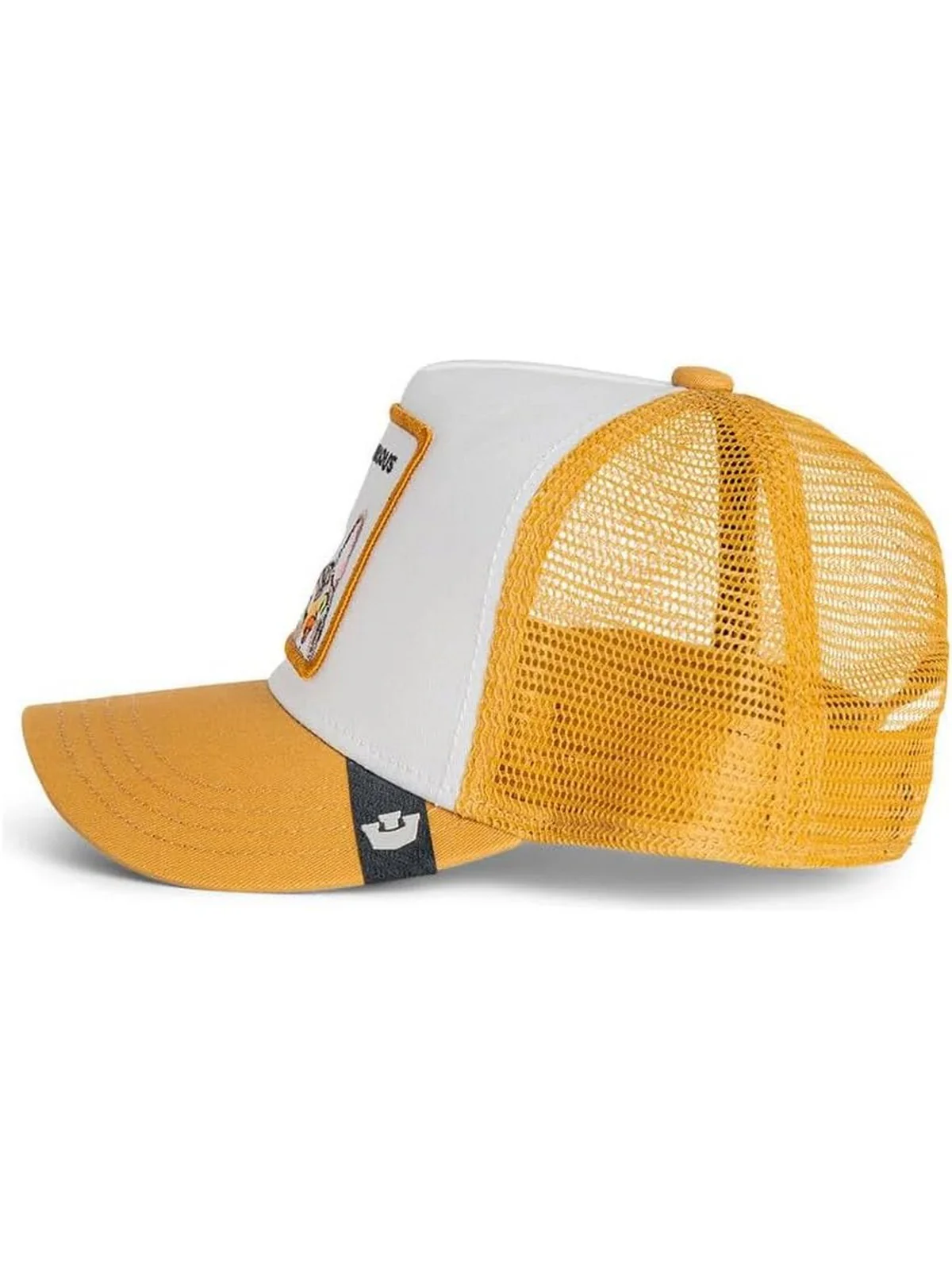 GOORIN BROS Cappello Bambini e ragazzi CURIOUS CAT MINI 201-0107 AMB AMBER - Image 5