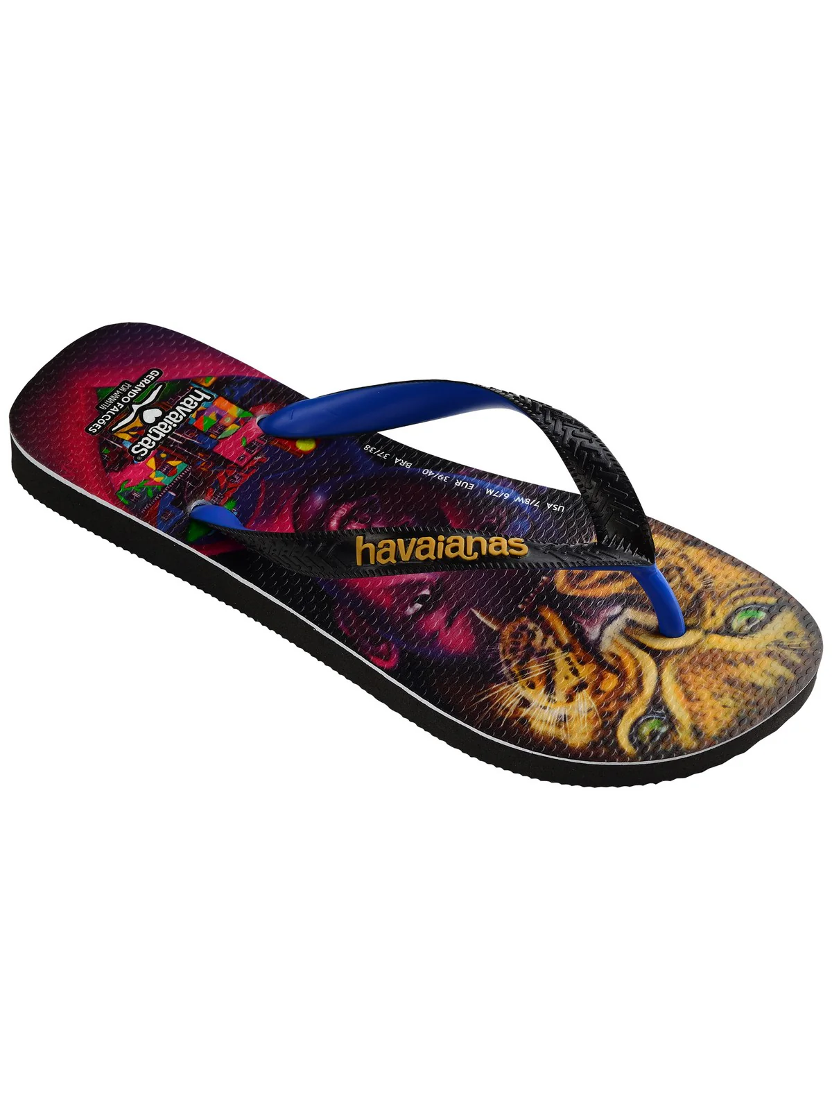 HAVAIANAS Infradito Unisex adulto Hav. Gerando Falcoes 4147603.0090 Nero - Image 2