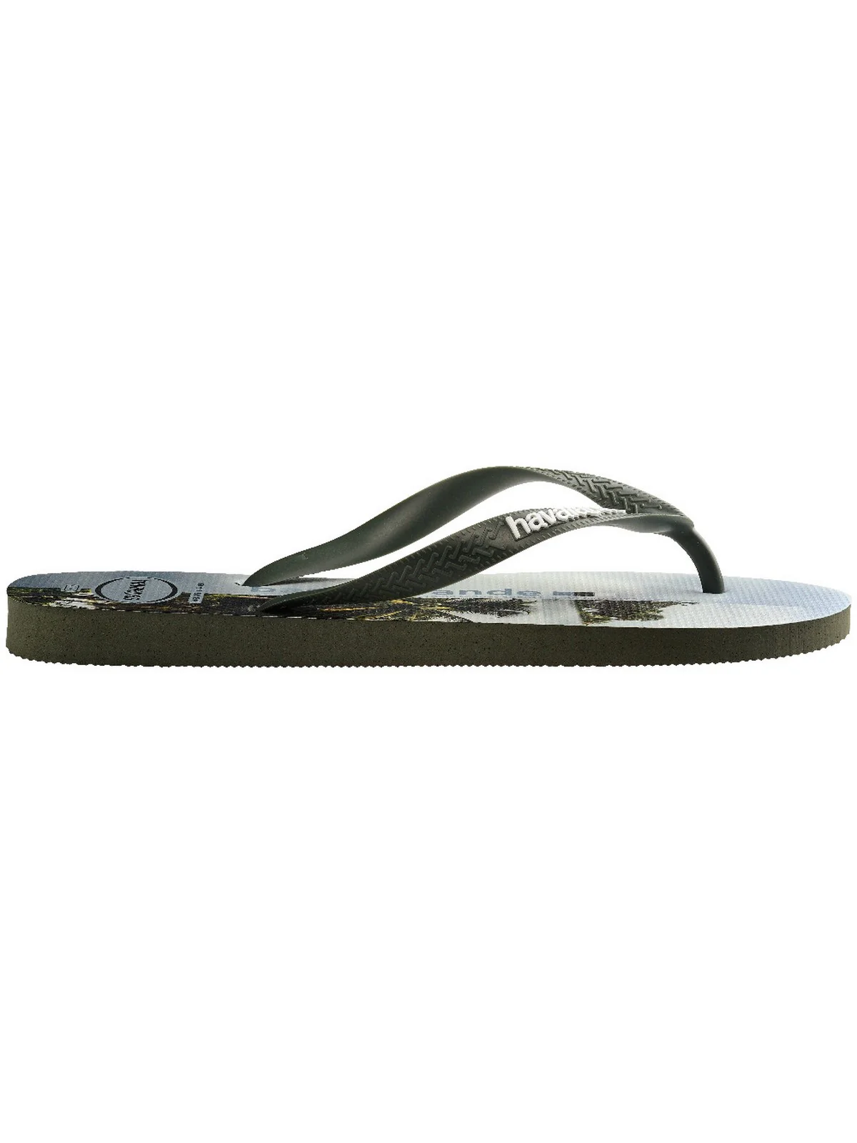 HAVAIANAS Infradito Uomo Hav. Top surfer I 4149971.4896 Verde - Image 3