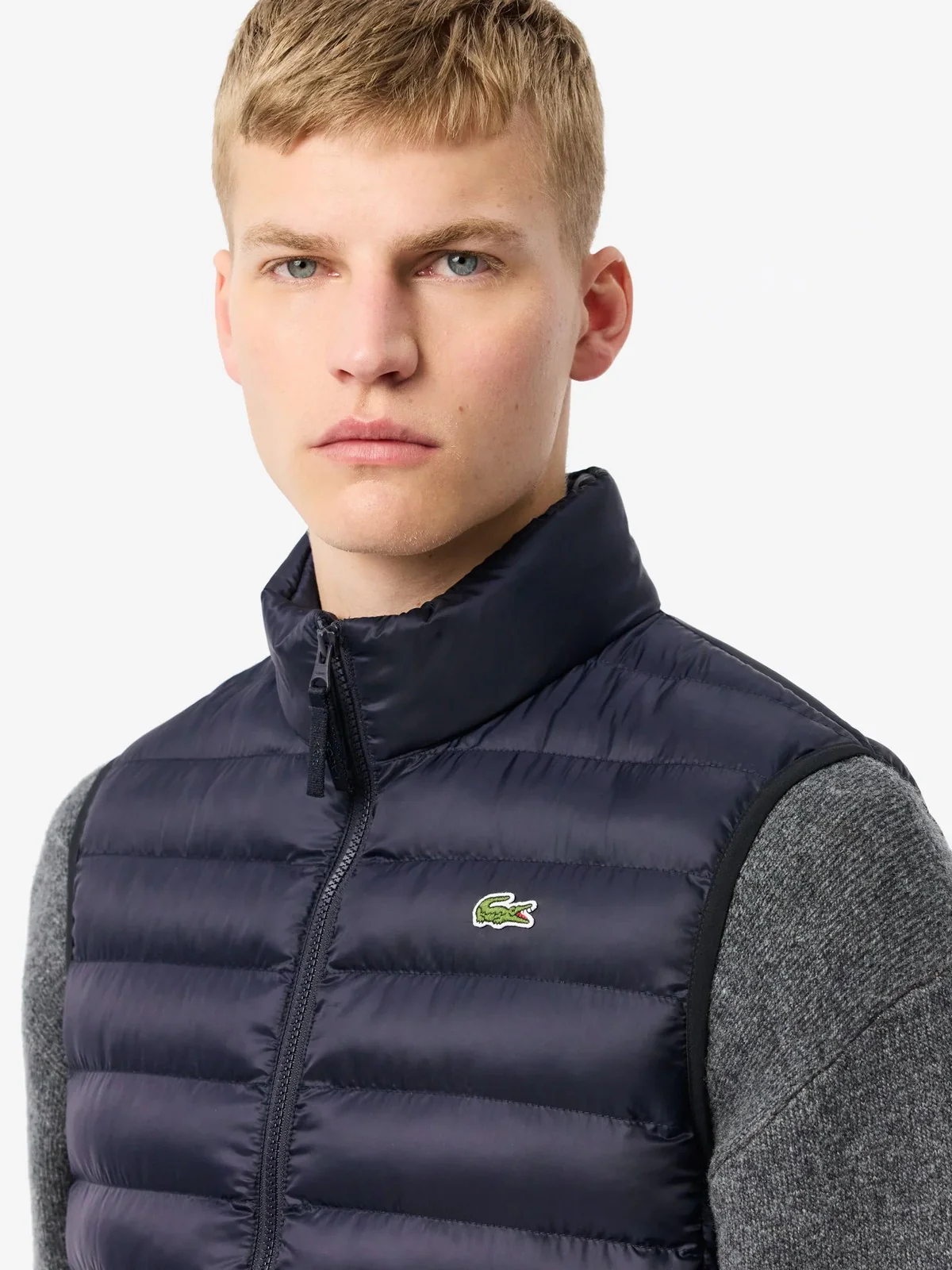LACOSTE Gilet Uomo  BH2886 HDE Blu - Image 4