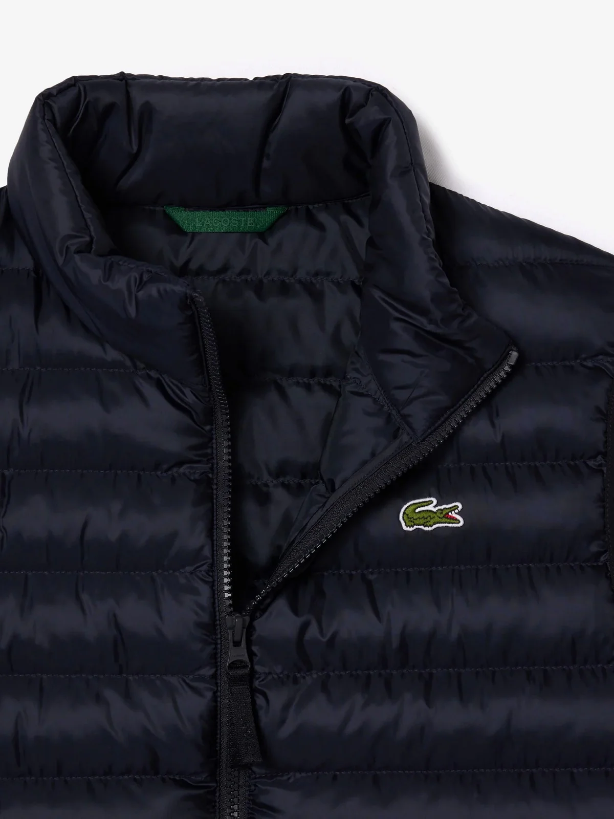 LACOSTE Gilet Uomo  BH2886 HDE Blu - Image 5