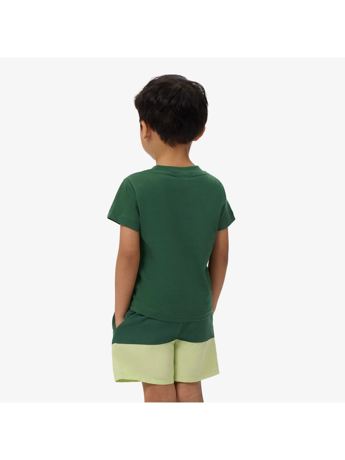 LACOSTE KIDS T-shirt Unisex bambino LCB CORE TEE 847025 F9W Verde - Image 3