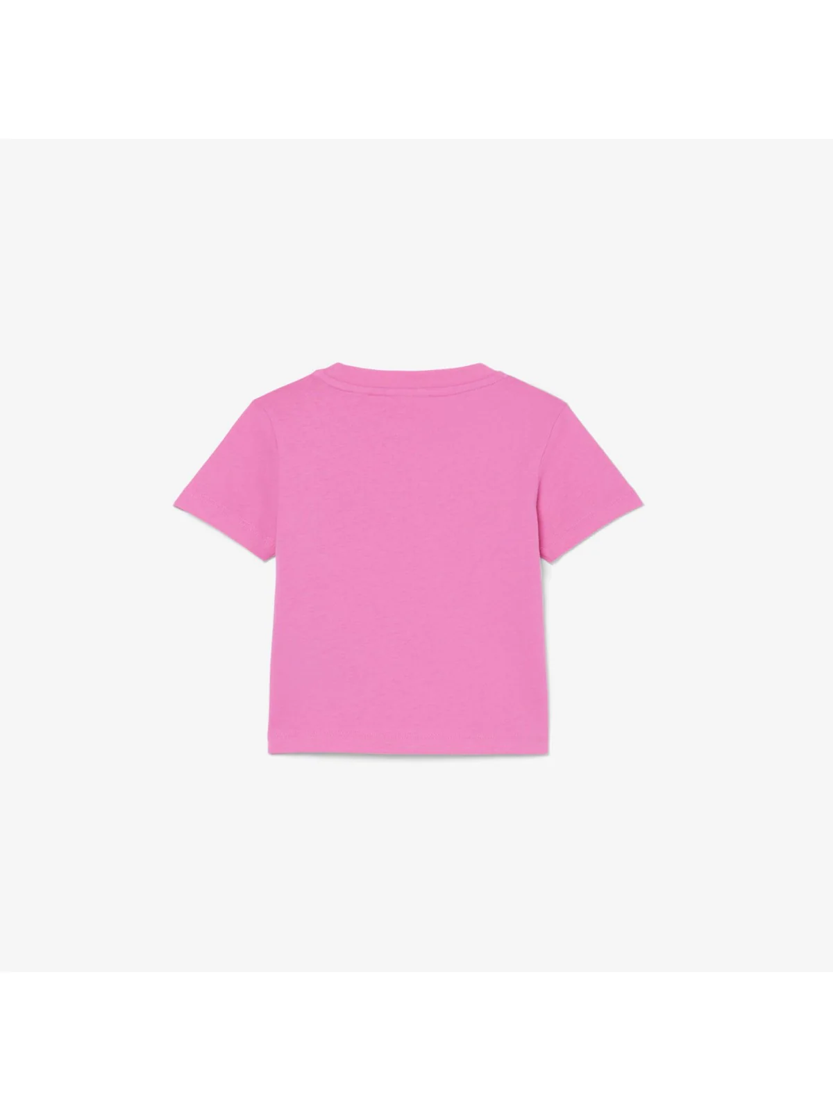 LACOSTE KIDS T-shirt Unisex bambino LCB CORE TEE 847025 GLH Rosa - Image 2