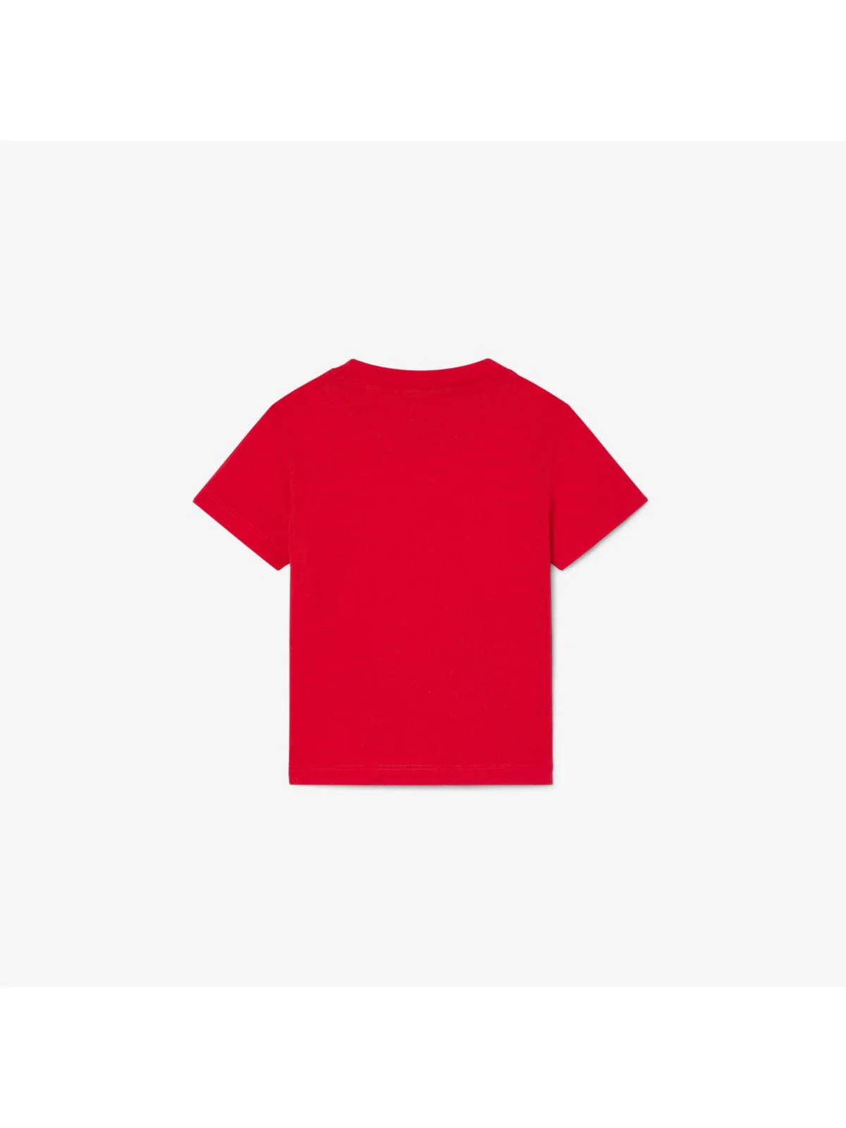 LACOSTE KIDS T-shirt Unisex bambino LCB CORE TEE 847025 RCJ Rosso - Image 2