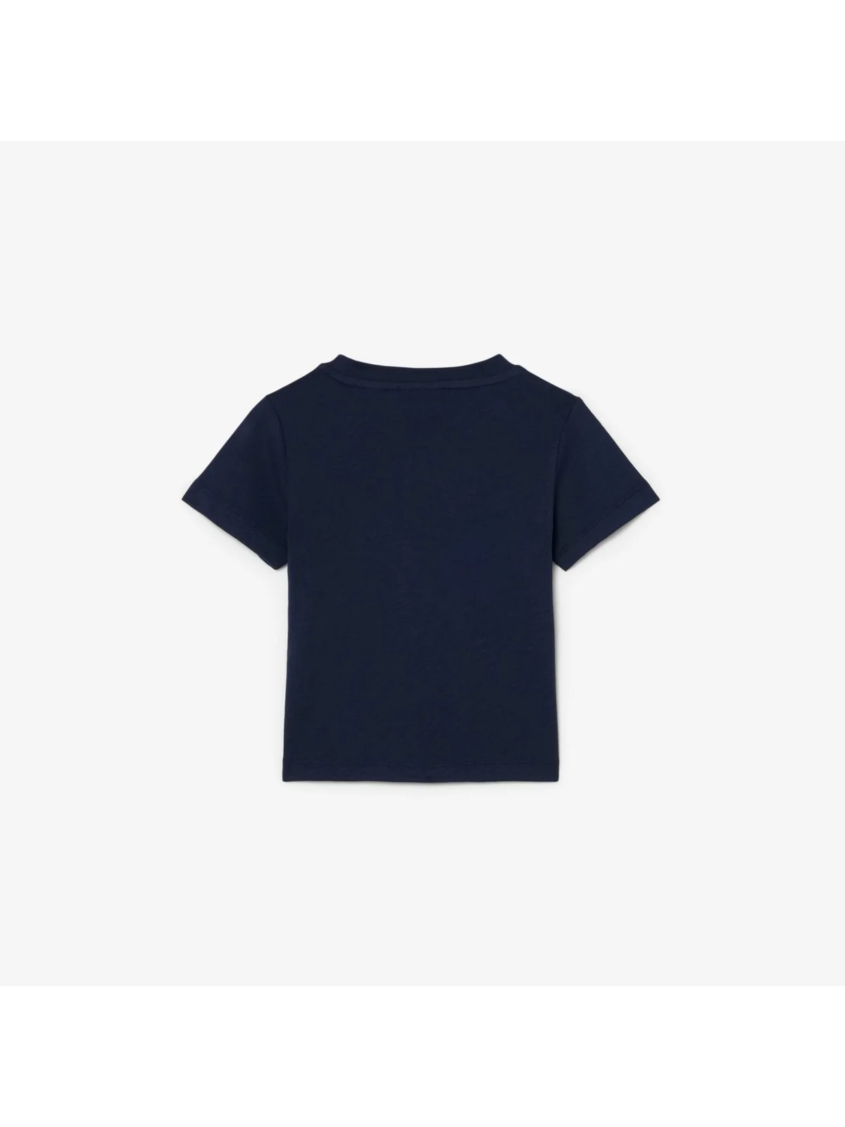 LACOSTE KIDS T-shirt Unisex bambino LCB CORE TEE 847025 UGW Blu - Image 2