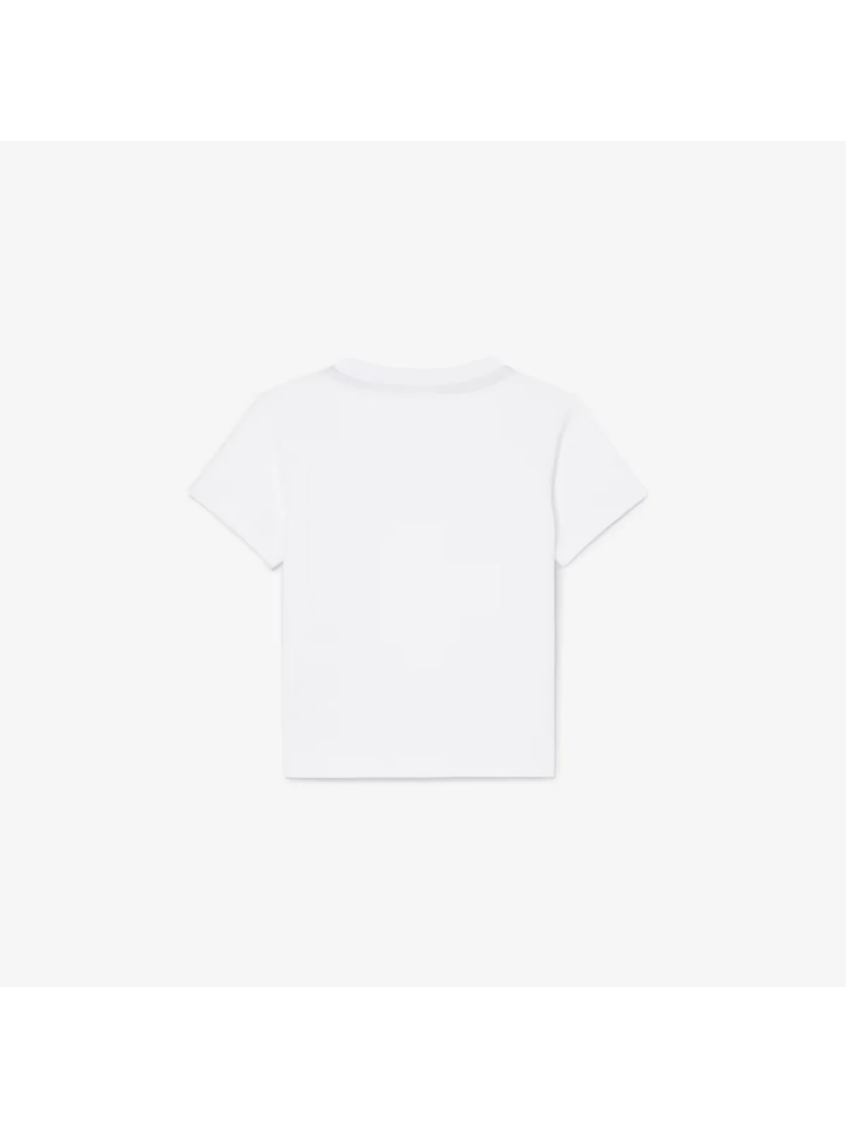 LACOSTE KIDS T-shirt Unisex bambino LCB CORE TEE 847025 W8L Bianco - Image 2