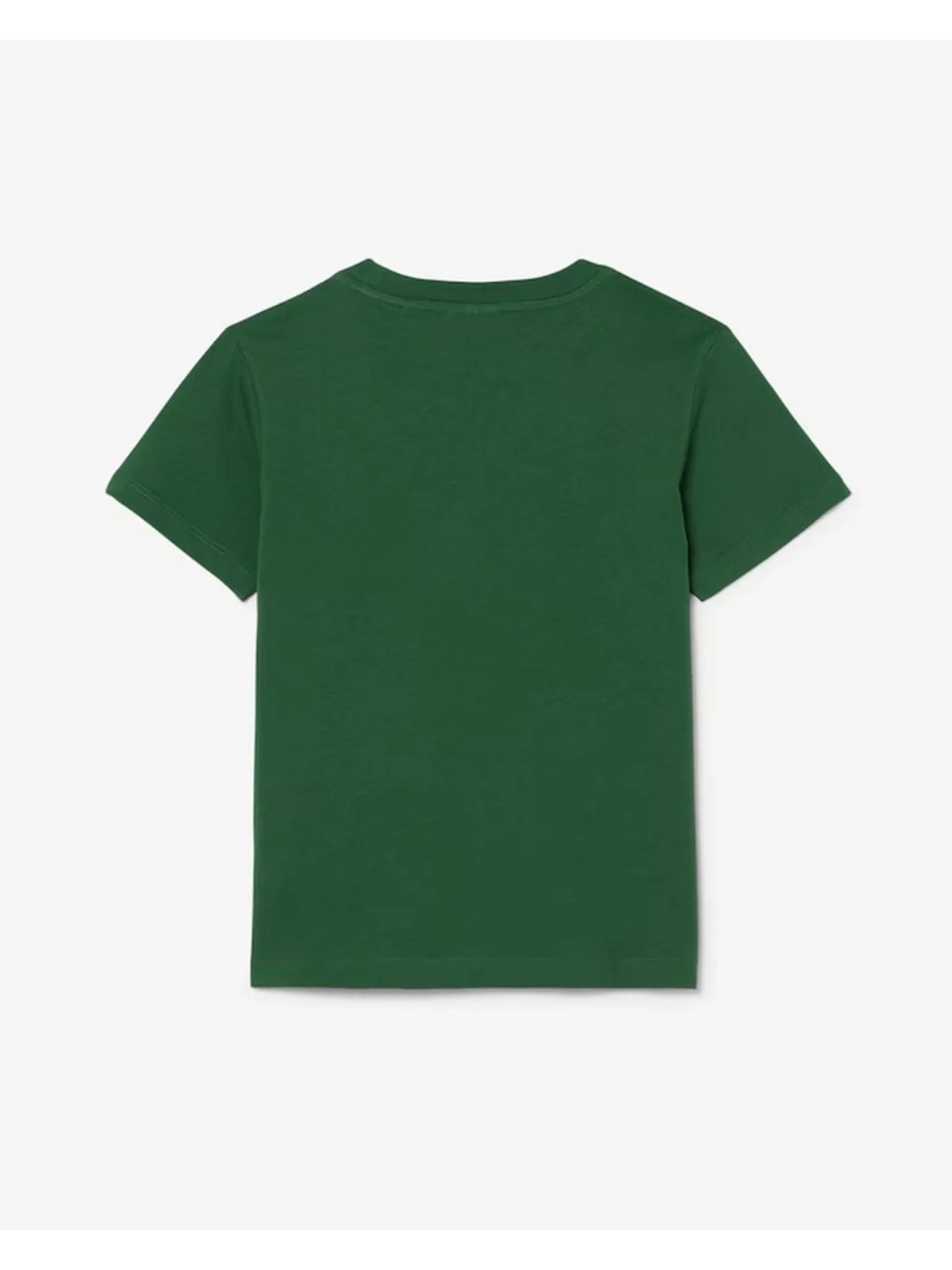 LACOSTE KIDS T-shirt Unisex bambino LCB CORE TEE 947025 F9W Verde - Image 2