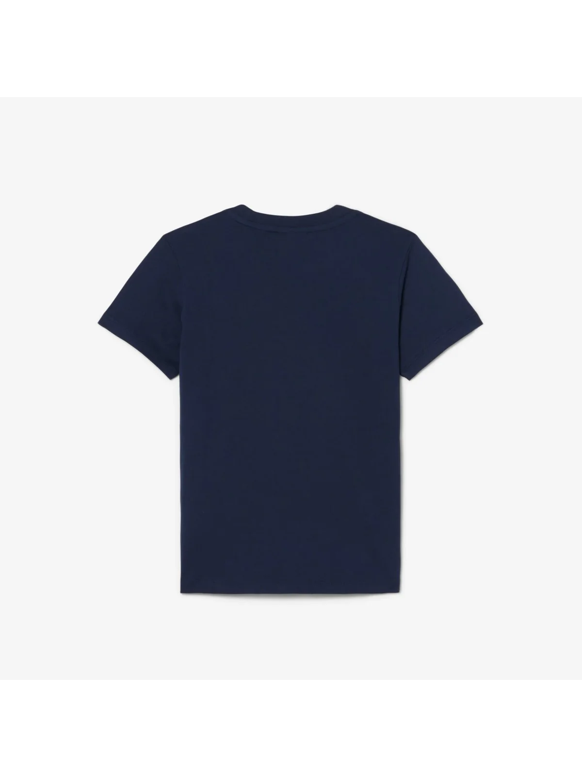 LACOSTE KIDS T-shirt Unisex bambino LCB CORE TEE 947025 UGW Blu - Image 2