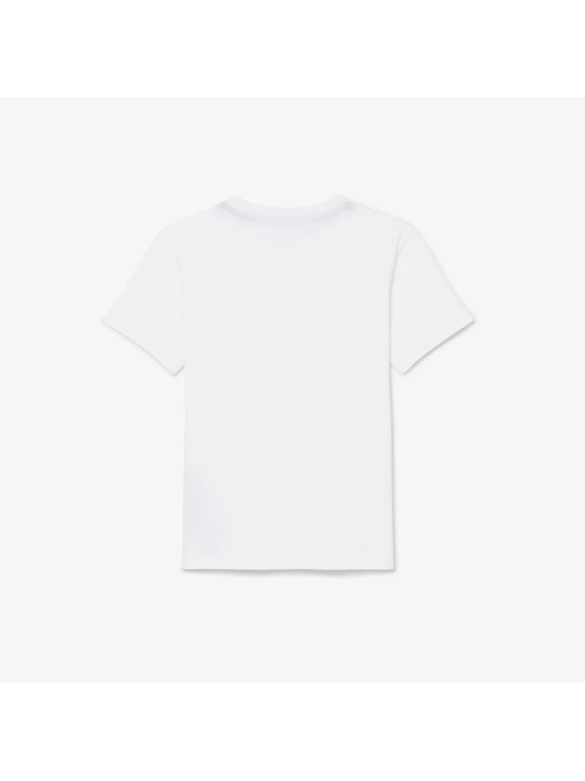 LACOSTE KIDS T-shirt Unisex bambino LCB CORE TEE 947025 W8L Bianco - Image 2