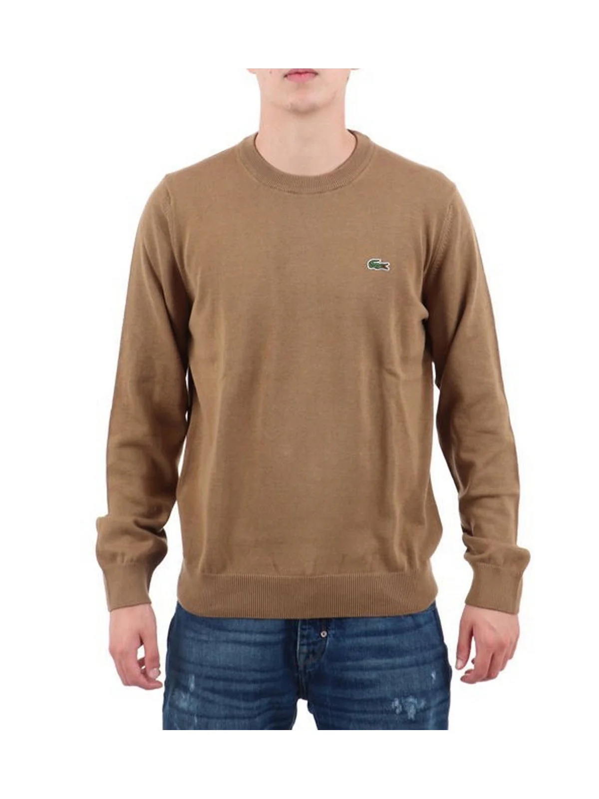 LACOSTE Maglia Uomo  AH0128 SIX Marrone - Image 2