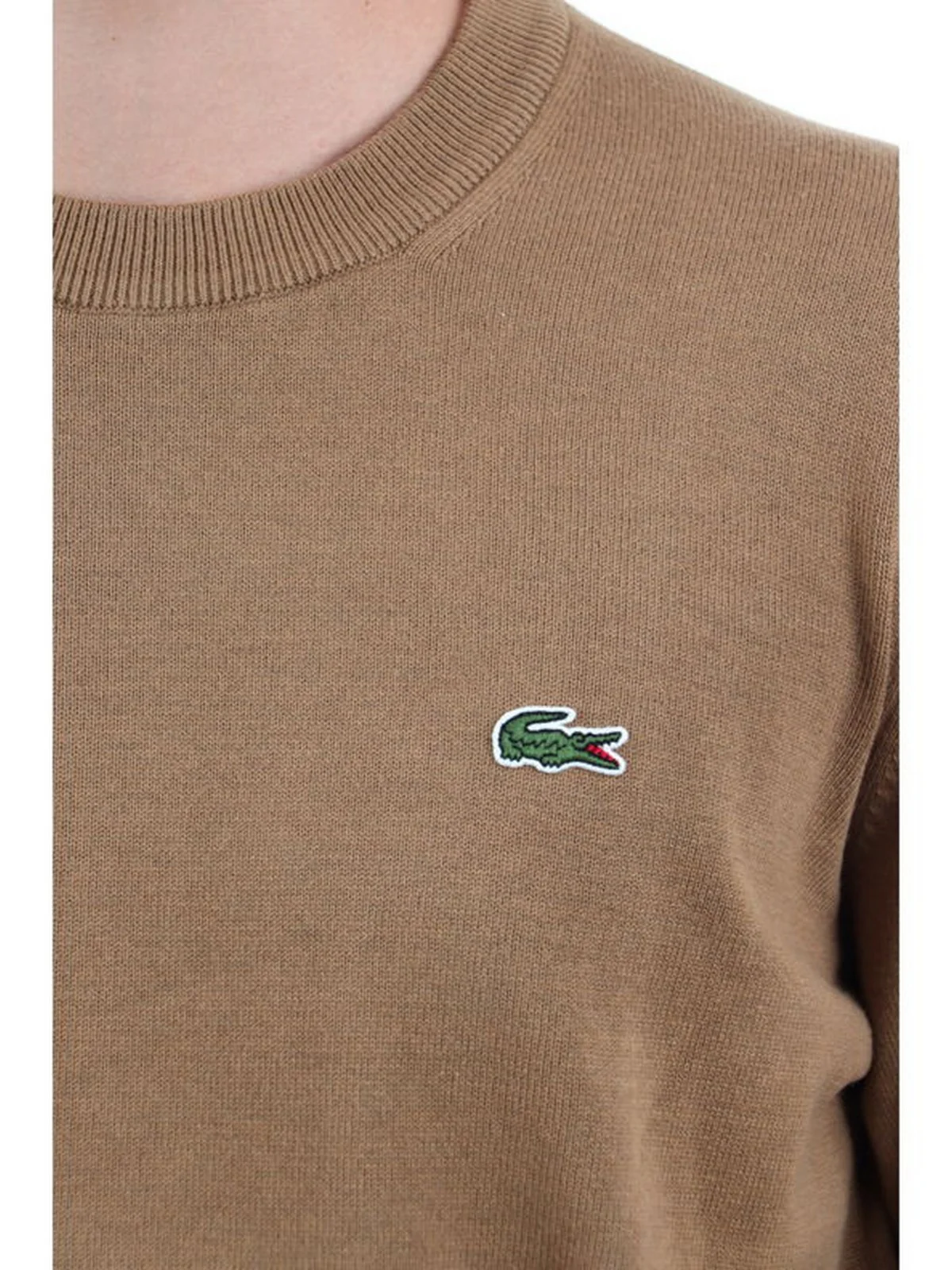 LACOSTE Maglia Uomo  AH0128 SIX Marrone - Image 4