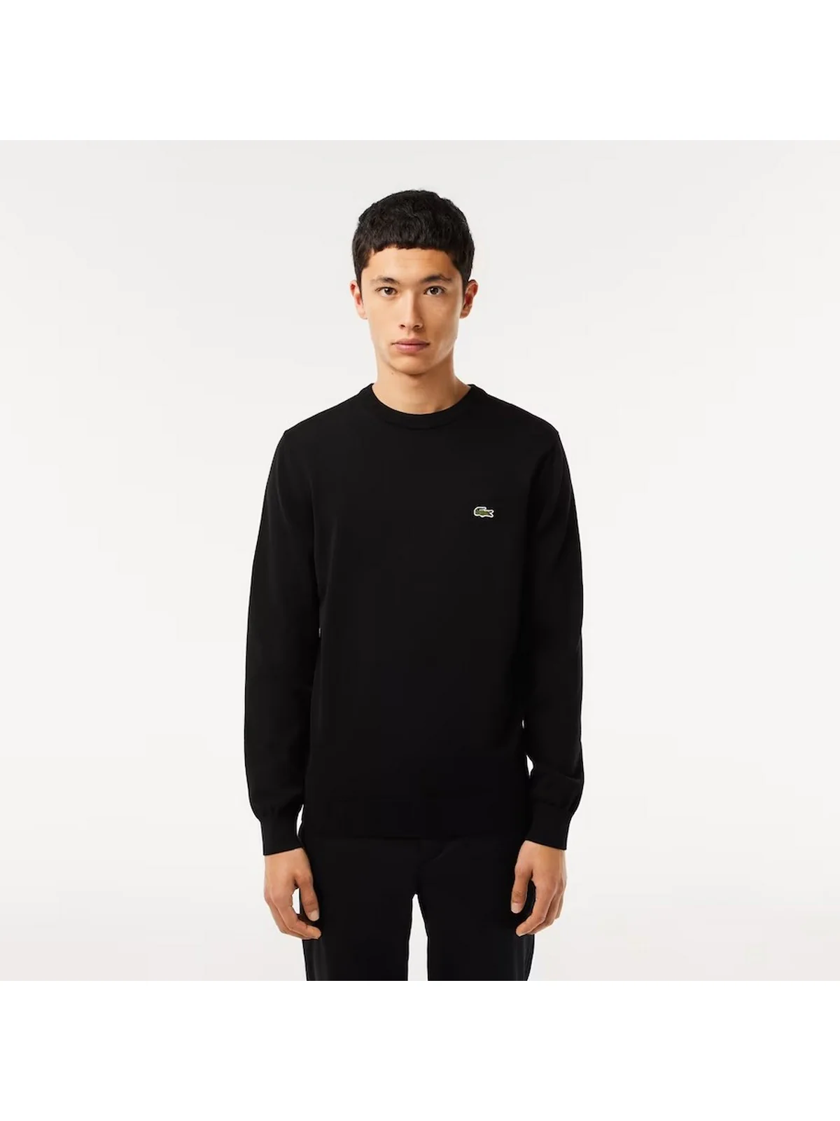 LACOSTE Maglione Uomo  AH1985 031 Nero - Image 2