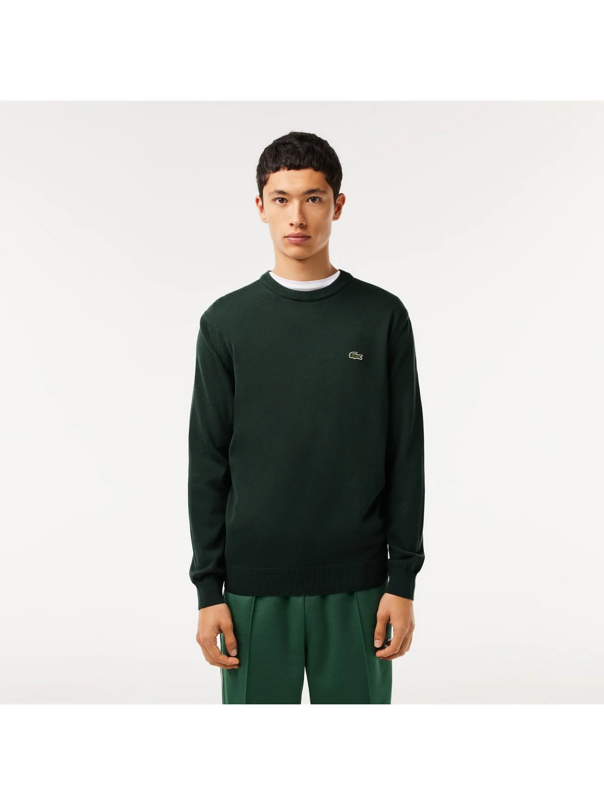 LACOSTE Maglione Uomo  AH1985 YZP Verde - Image 2