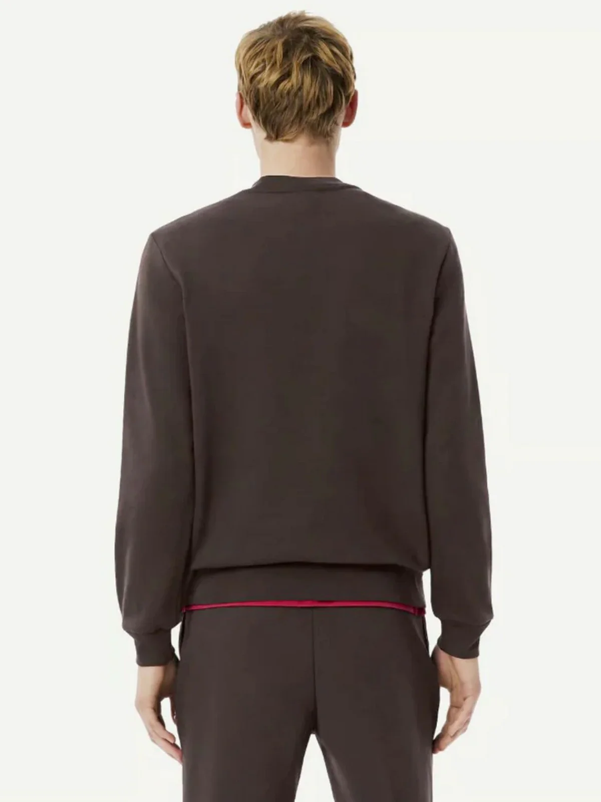 LACOSTE Maglione Uomo  AH3225 SKB Marrone - Image 3