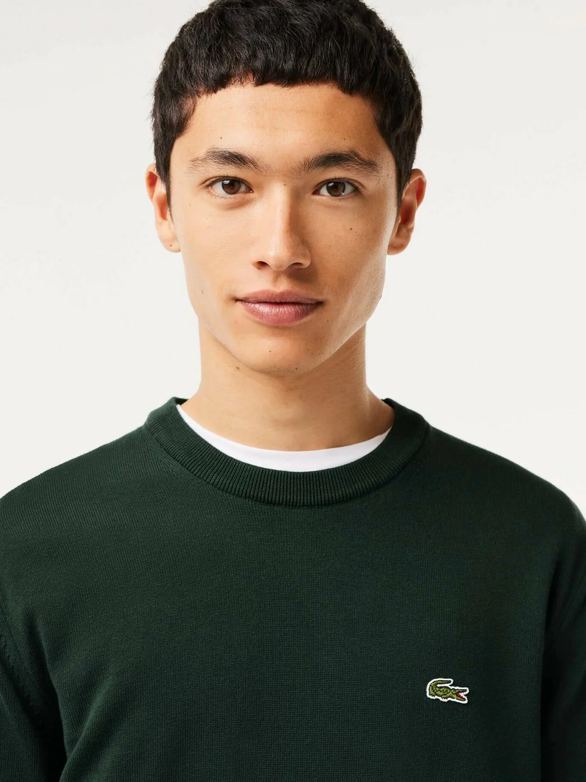 LACOSTE Maglione Uomo  AH3225 YZP Verde - Image 4