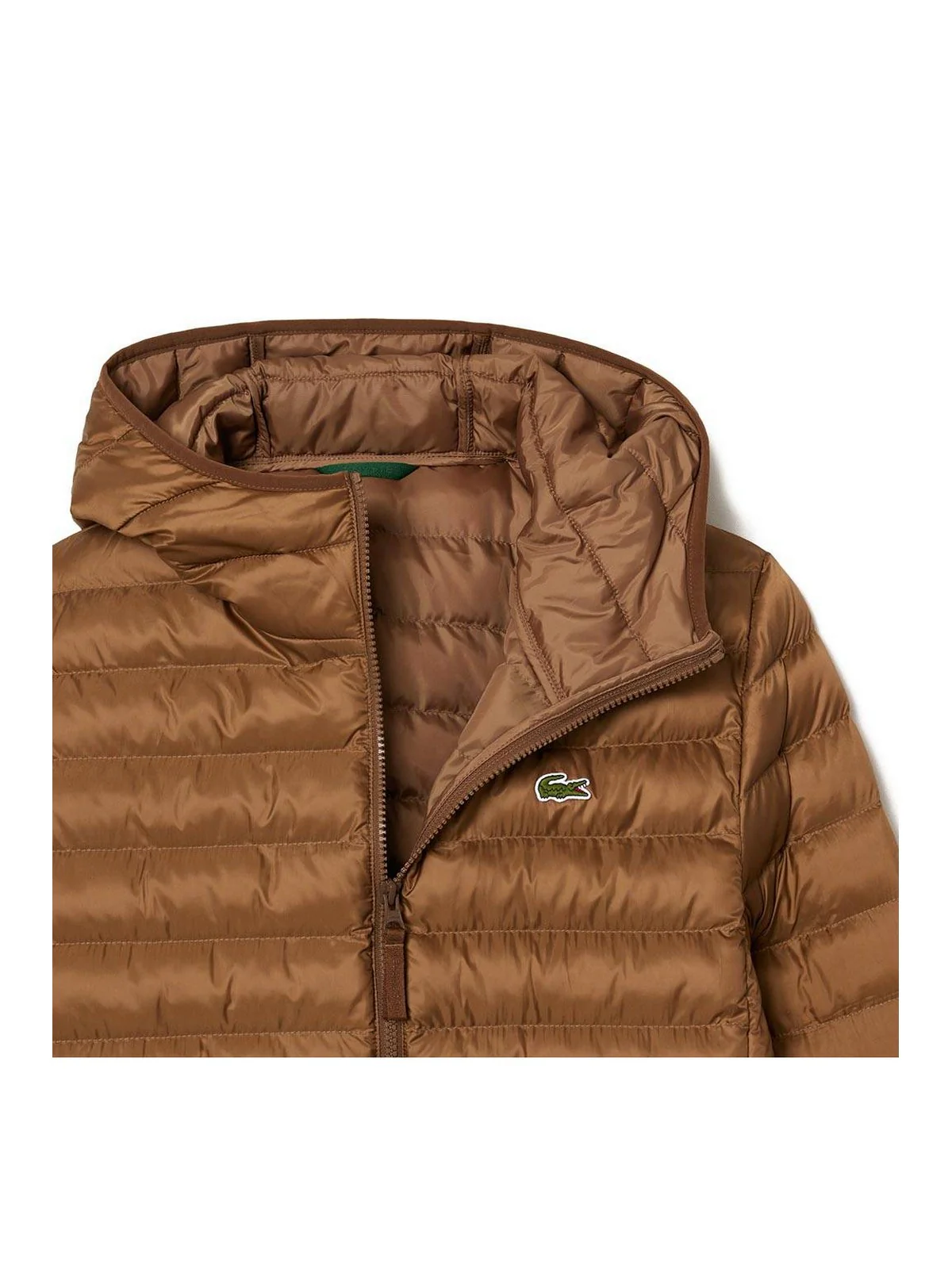 LACOSTE Piumino Uomo  BH2909 SIX Marrone - Image 2