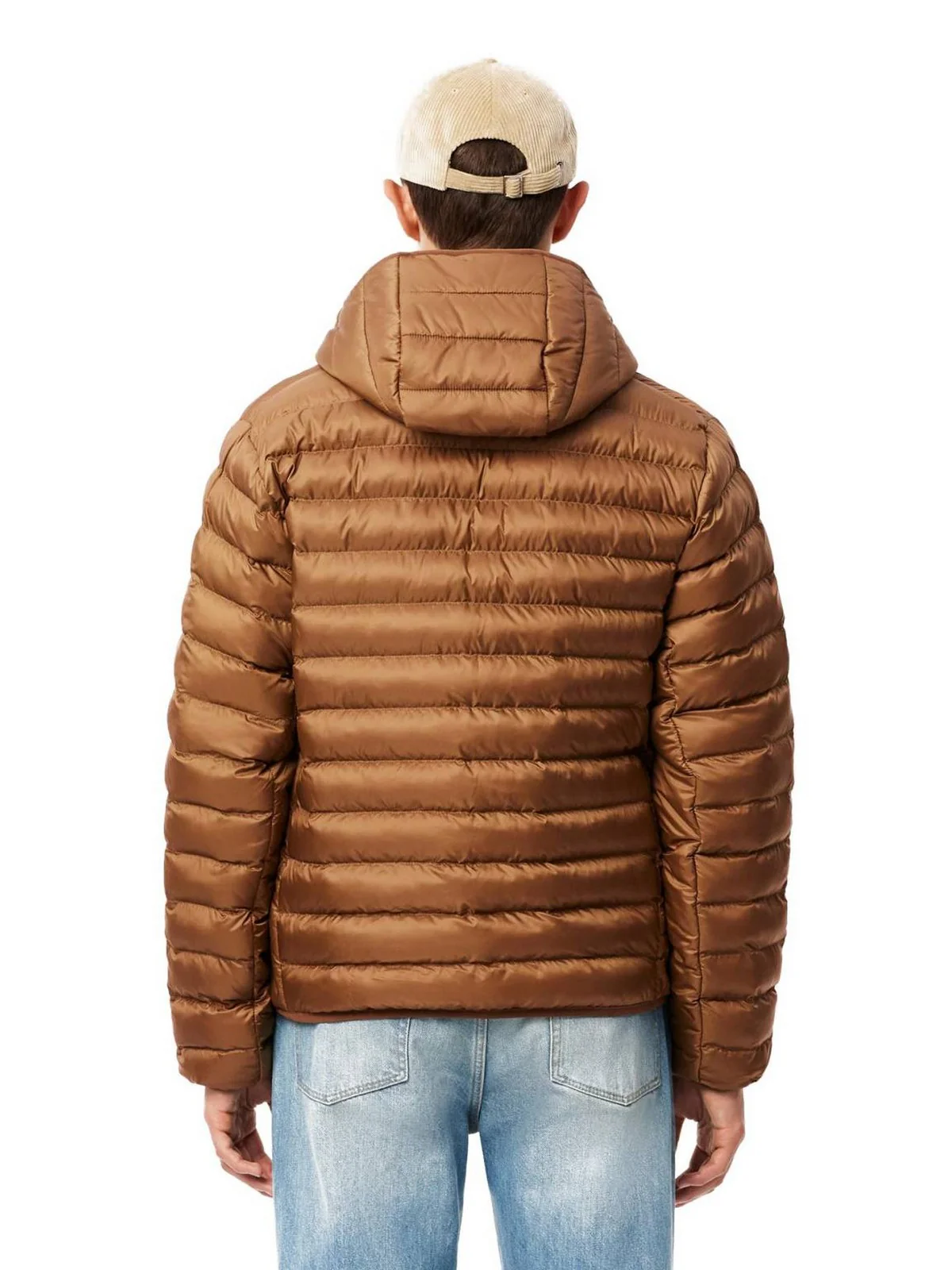 LACOSTE Piumino Uomo  BH2909 SIX Marrone - Image 3