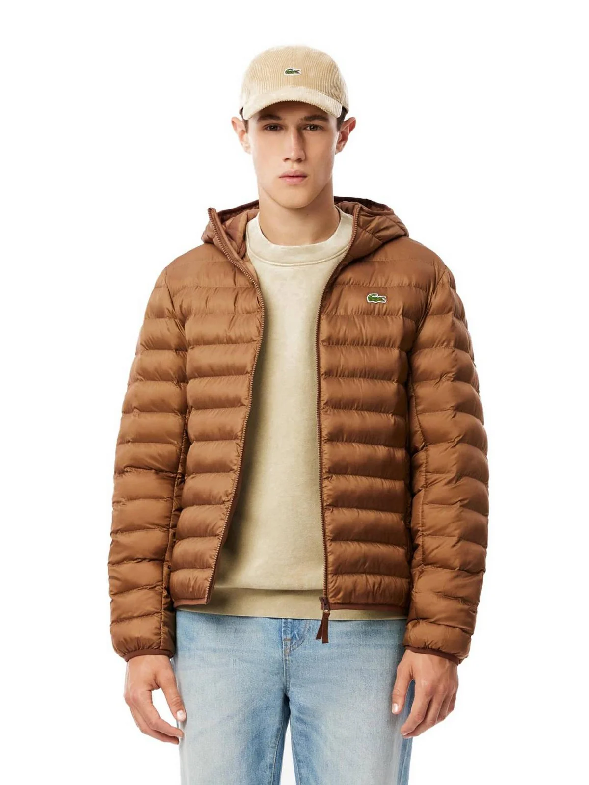 LACOSTE Piumino Uomo  BH2909 SIX Marrone - Image 4