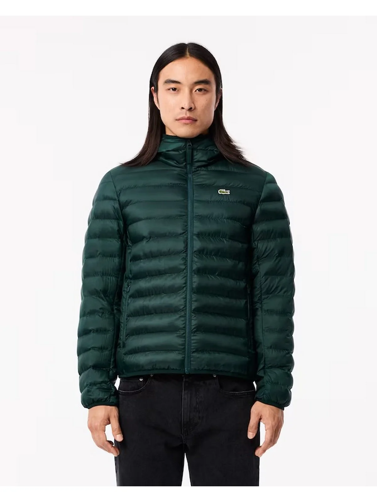 LACOSTE Piumino Uomo  BH2909 YZP Verde - Image 2