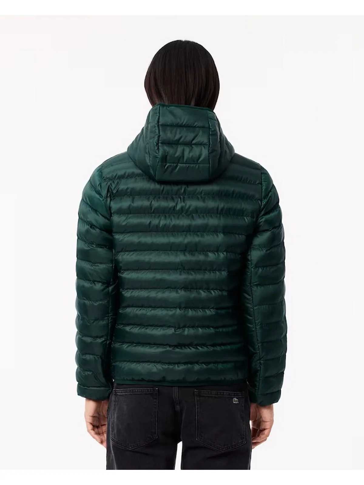 LACOSTE Piumino Uomo  BH2909 YZP Verde - Image 3