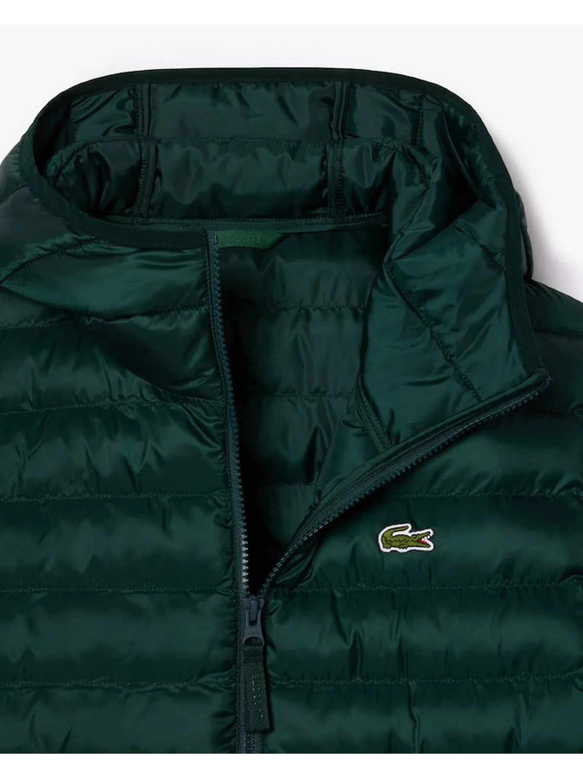 LACOSTE Piumino Uomo  BH2909 YZP Verde - Image 4