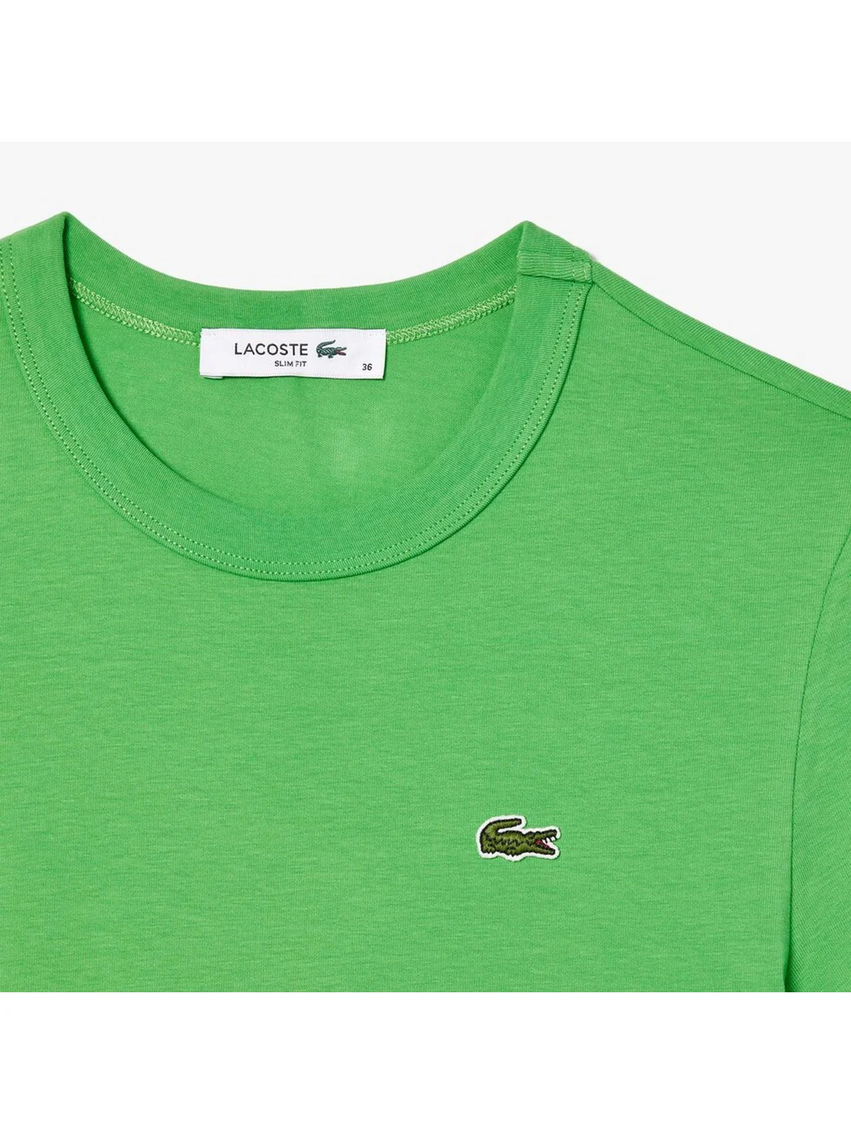 LACOSTE T-Shirt e Polo Donna  TF7218 IXU Verde - Image 4