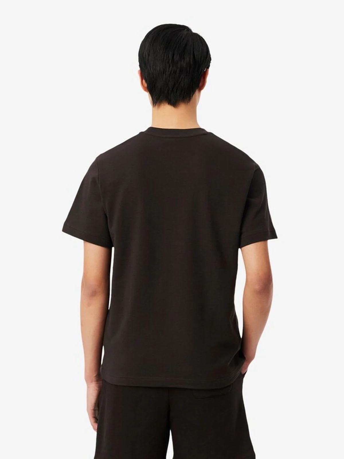 LACOSTE T-shirt Uomo  TH1979 3LA Marrone - Image 2
