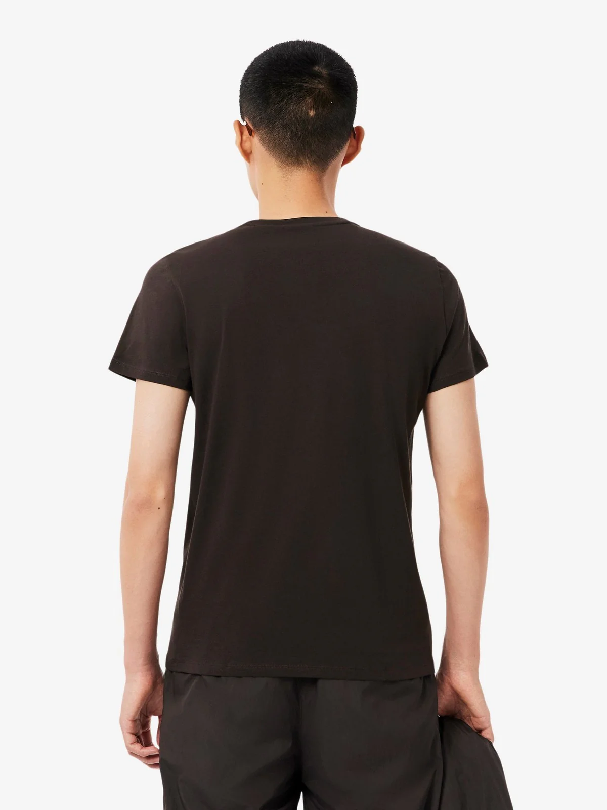 LACOSTE T-shirt Uomo  TH6709 SKB Marrone - Image 3