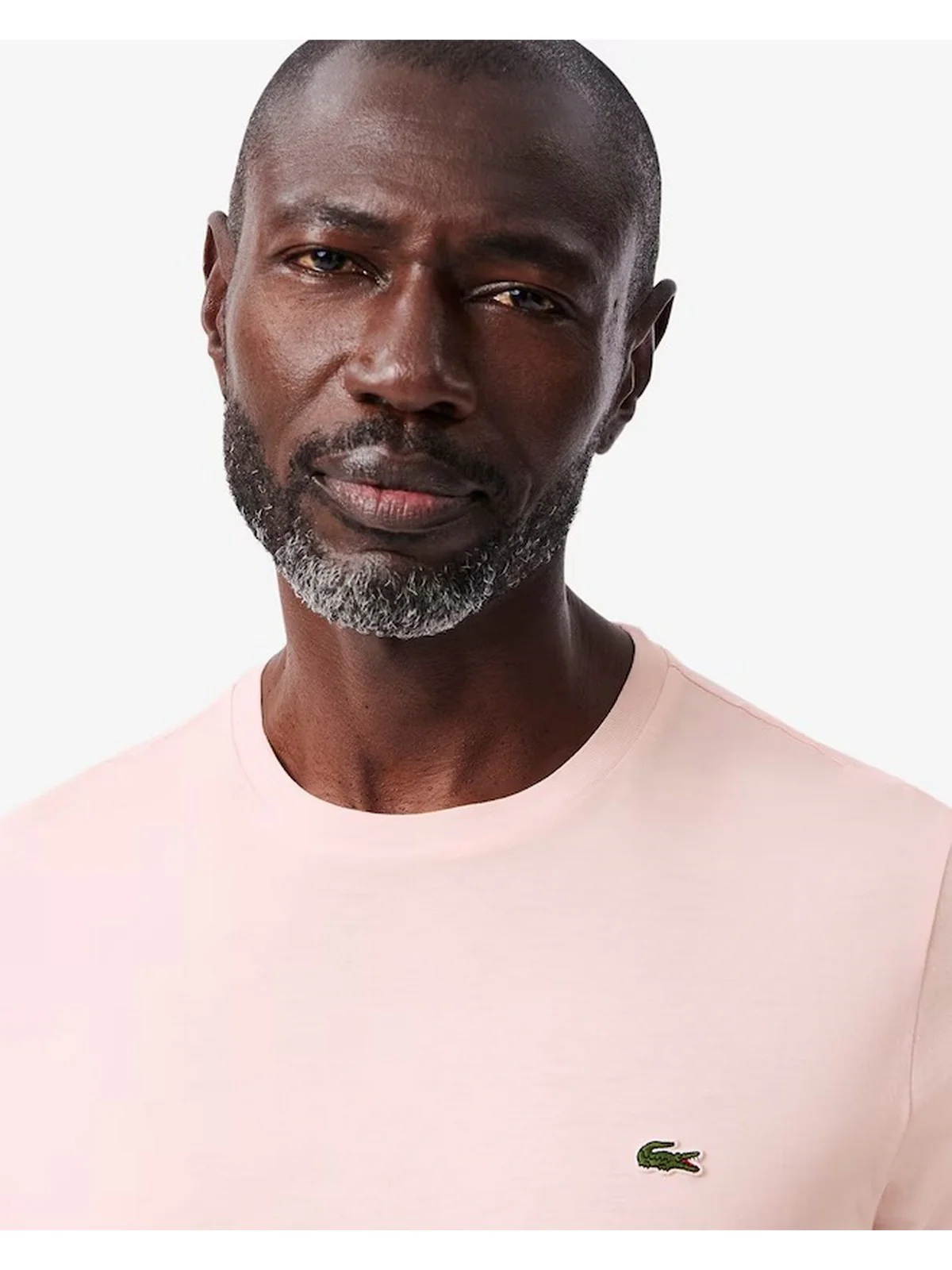 LACOSTE T-shirt Uomo  TH6709 T03 Rosa - Image 4