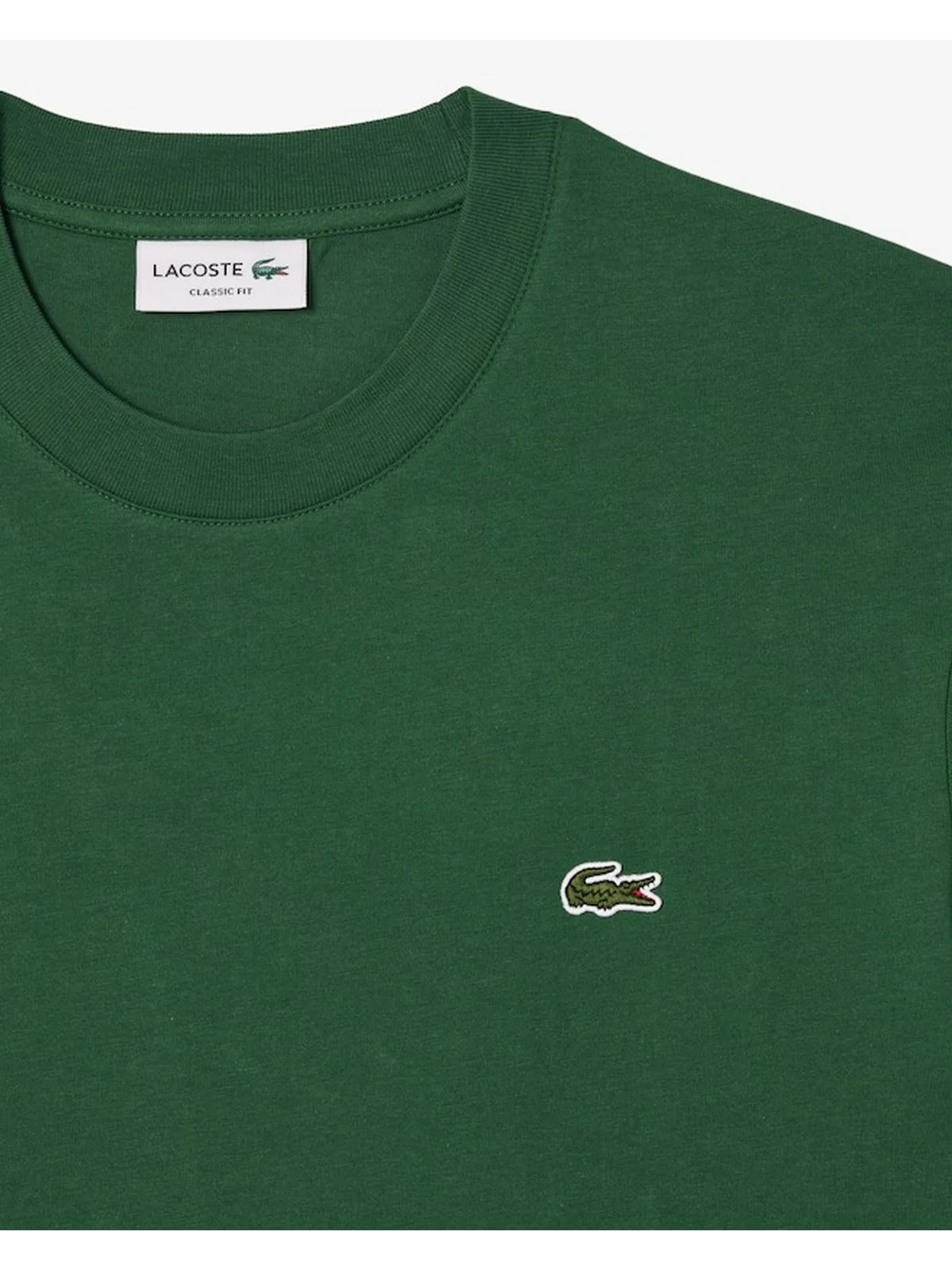 LACOSTE T-shirt Uomo  TH7318 132 Verde - Image 4