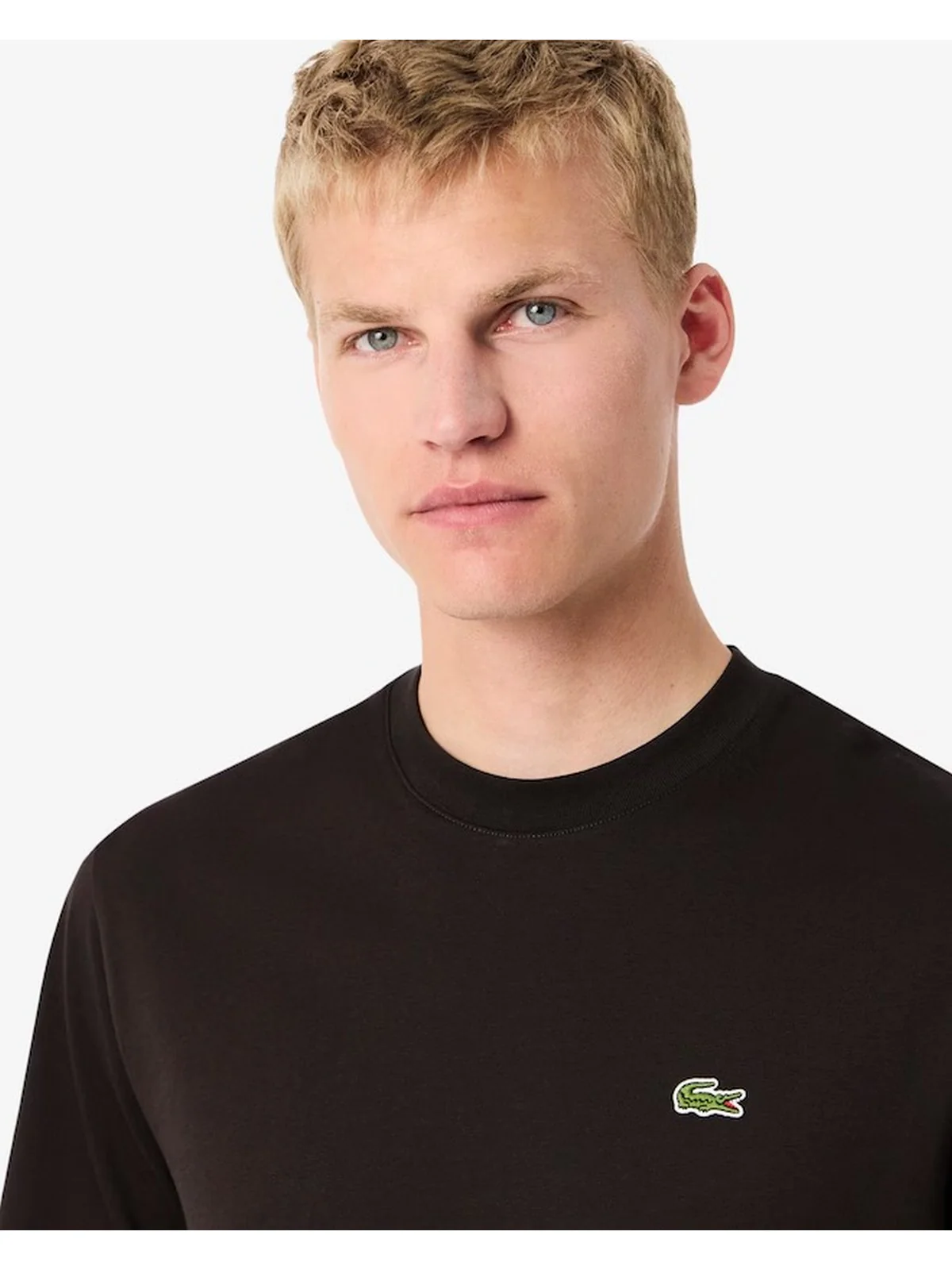 LACOSTE T-shirt Uomo  TH7318 SKB Marrone - Image 3