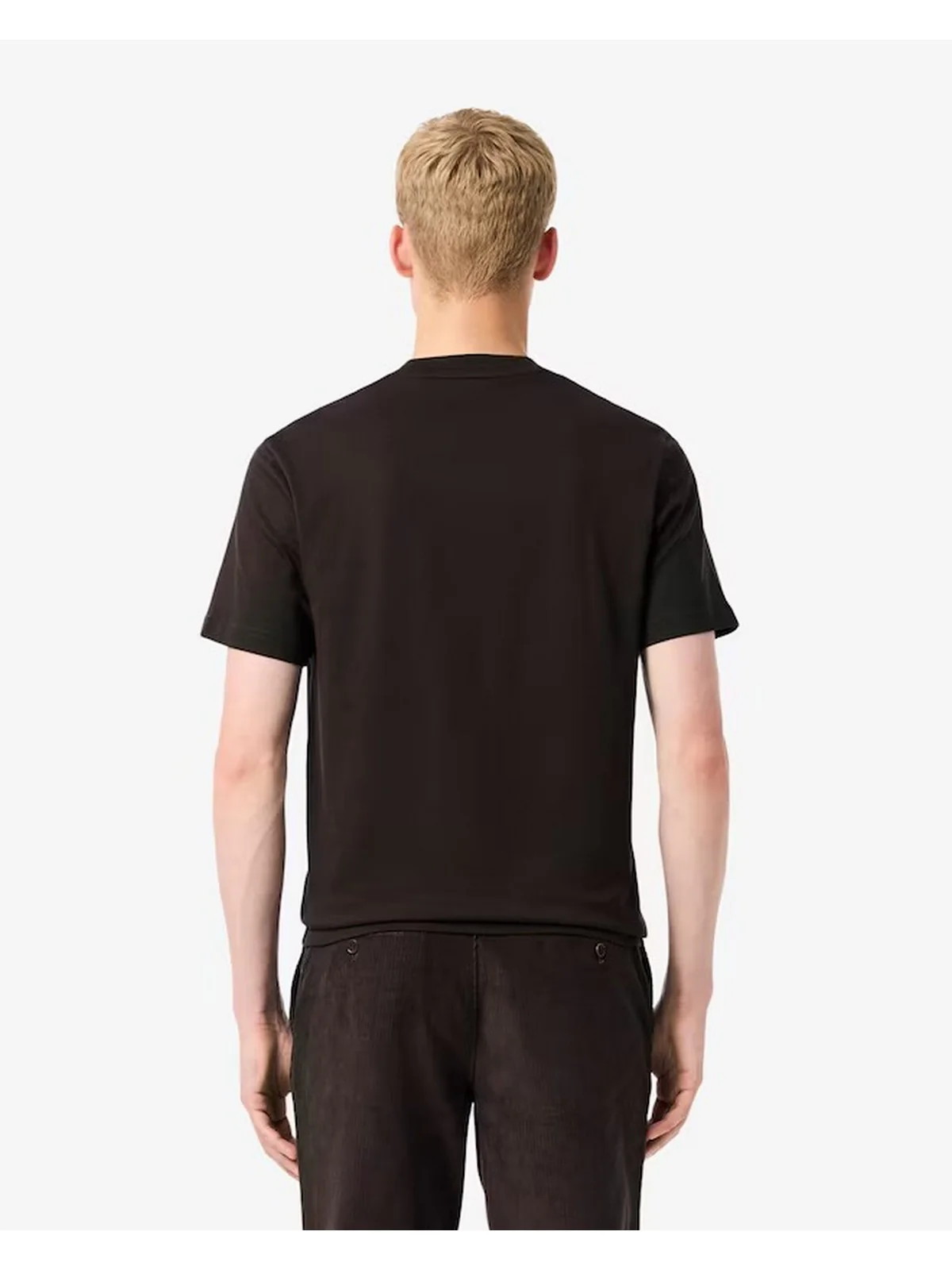 LACOSTE T-shirt Uomo  TH7318 SKB Marrone - Image 4