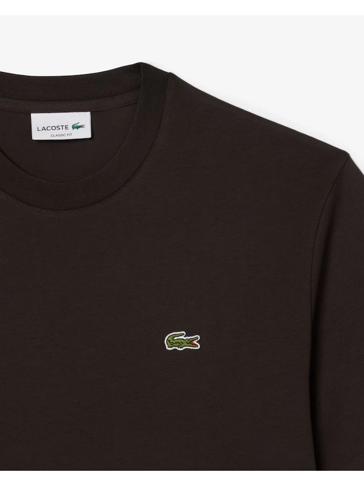 LACOSTE T-shirt Uomo  TH7318 SKB Marrone - Image 5