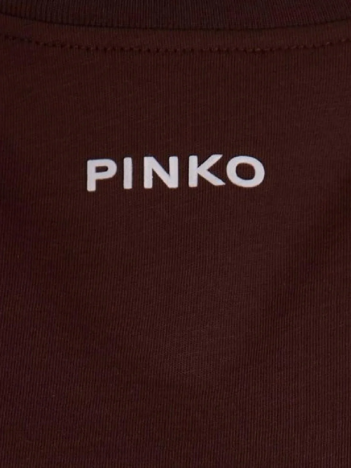PINKO T-shirt Donna BASICO T-SHIRT 100373-A34F L78 MARRONE TERRA X PIANTE - Image 3