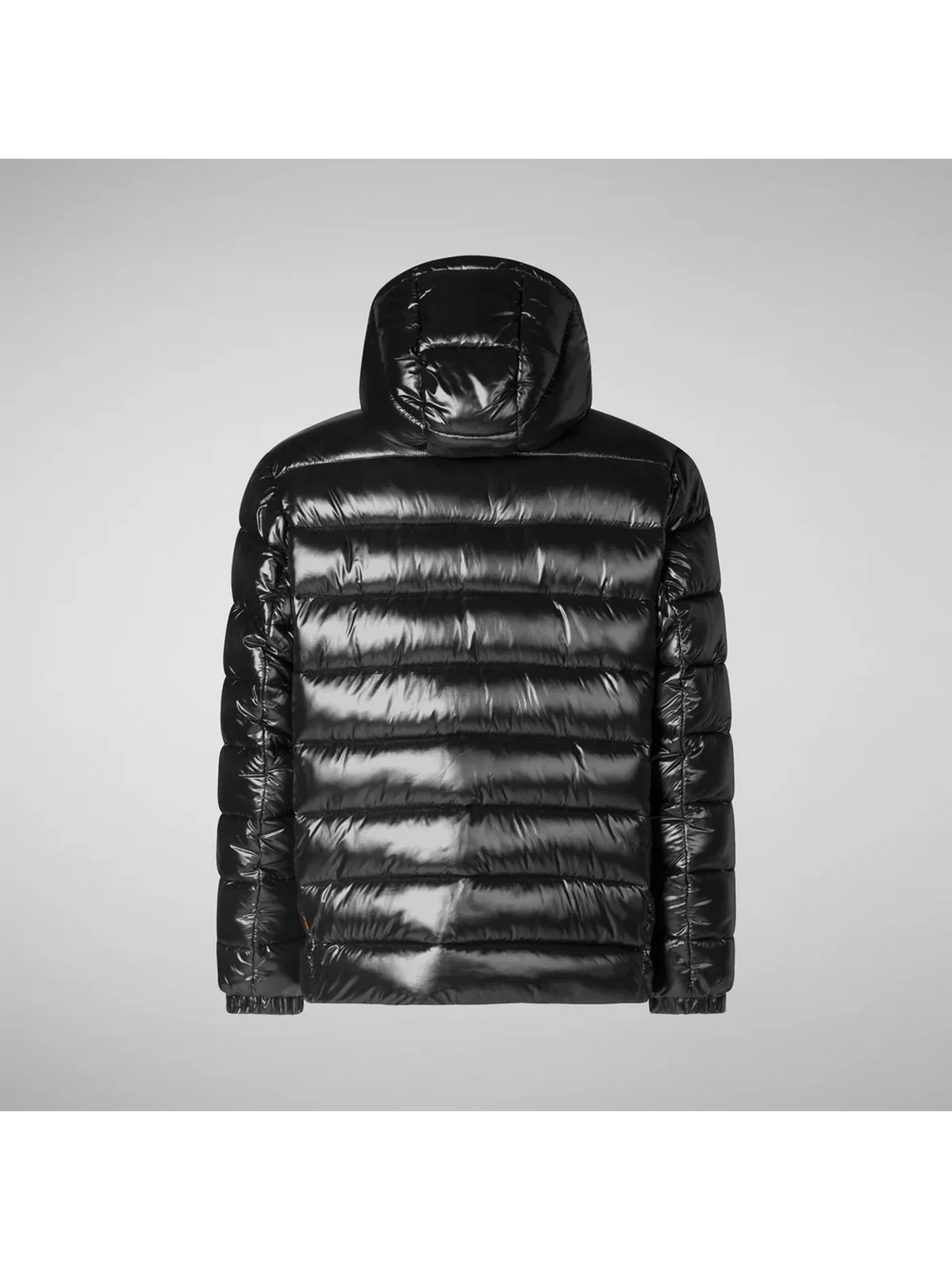 SAVE THE DUCK Piumino Uomo FLORIAN D31653M LOVE19 10000 Nero - Image 5