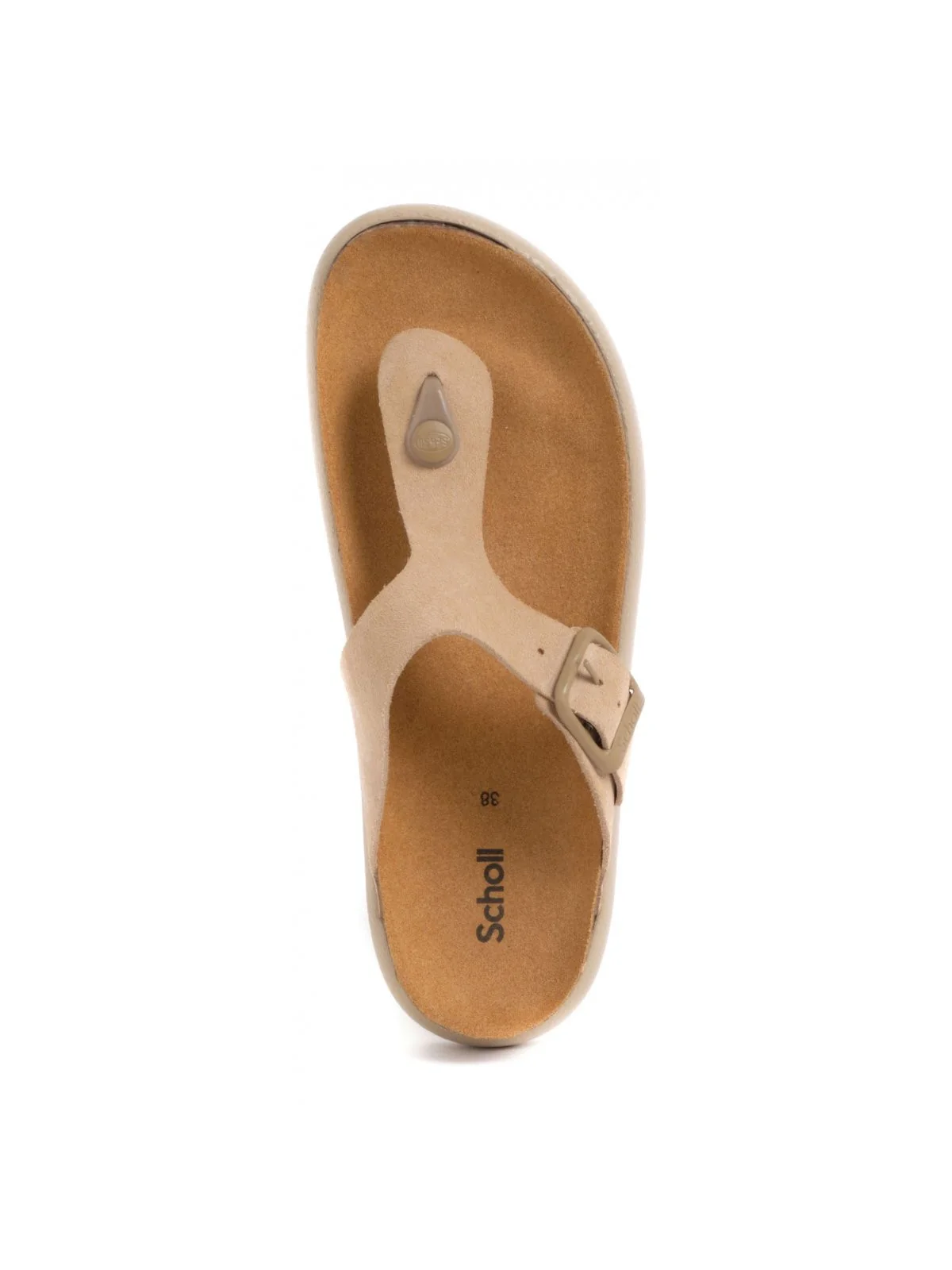 SCHOLL Infradito Donna Anais Chunky F311321002 Beige - Image 2