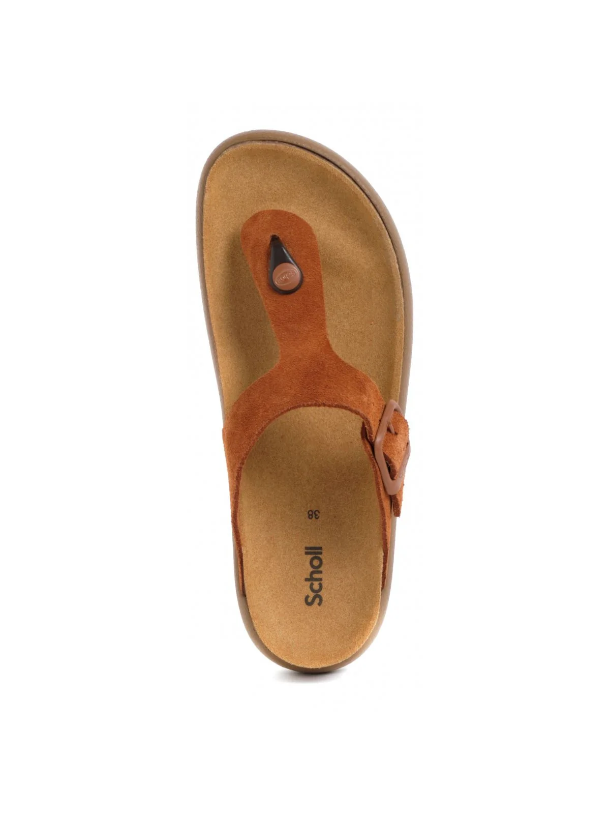 SCHOLL Infradito Donna Anais Chunky F311321170 Marrone - Image 2