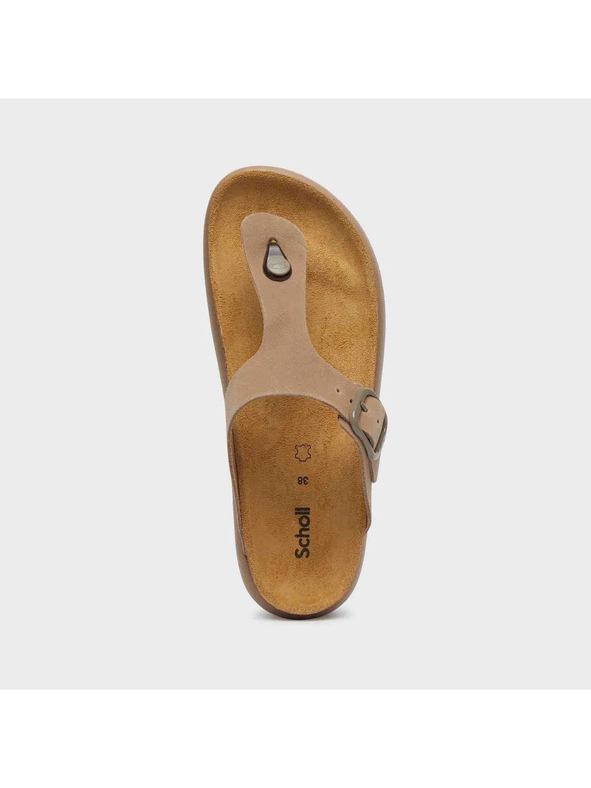 SCHOLL Sandalo Donna Anais Chunky Dk Beige Sde F322532361 DARK BEIGE - Image 2