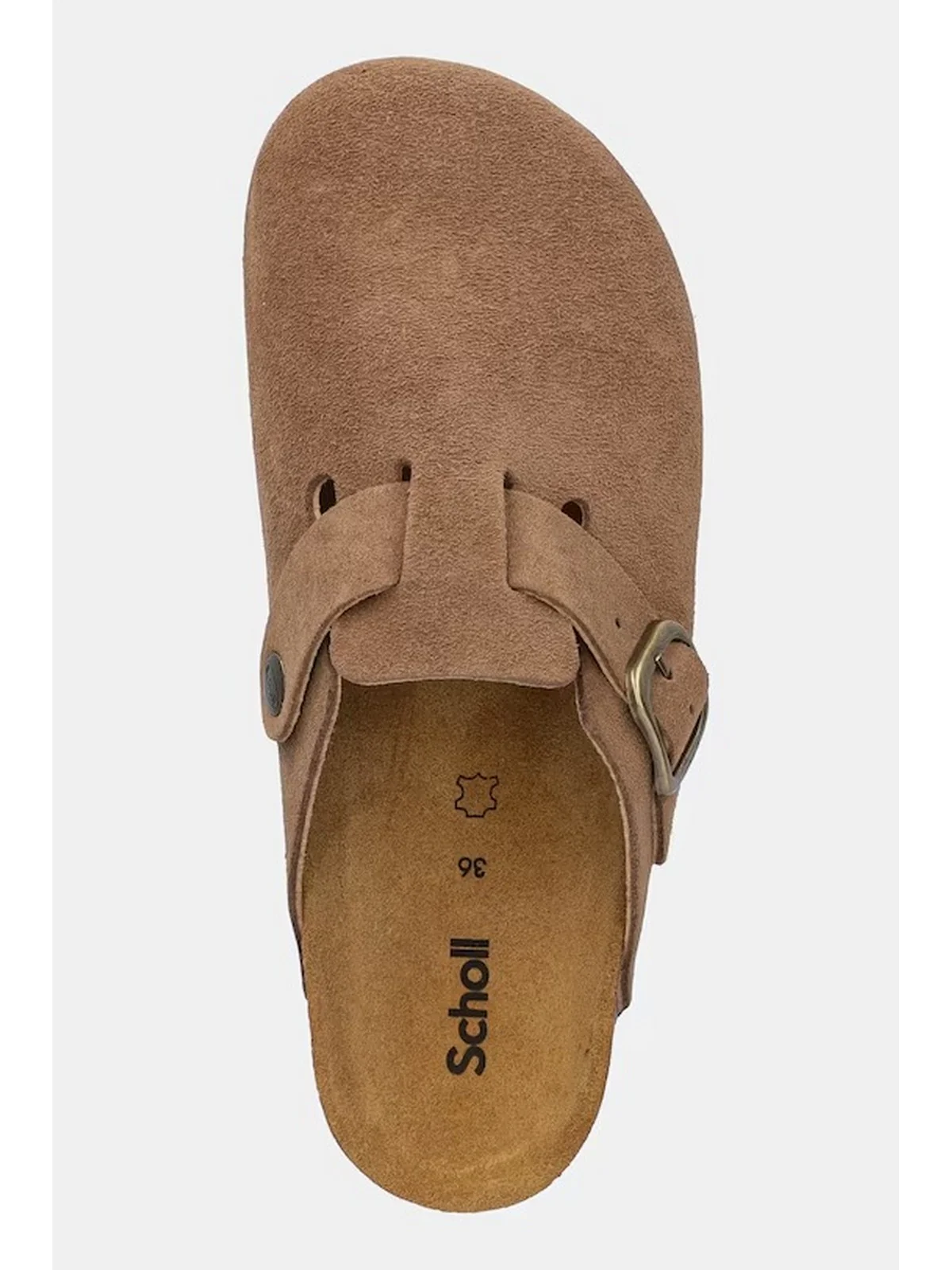 SCHOLL Sandalo Donna FAE NEW TAUPE SDE F321981062 TAUPE - Image 4