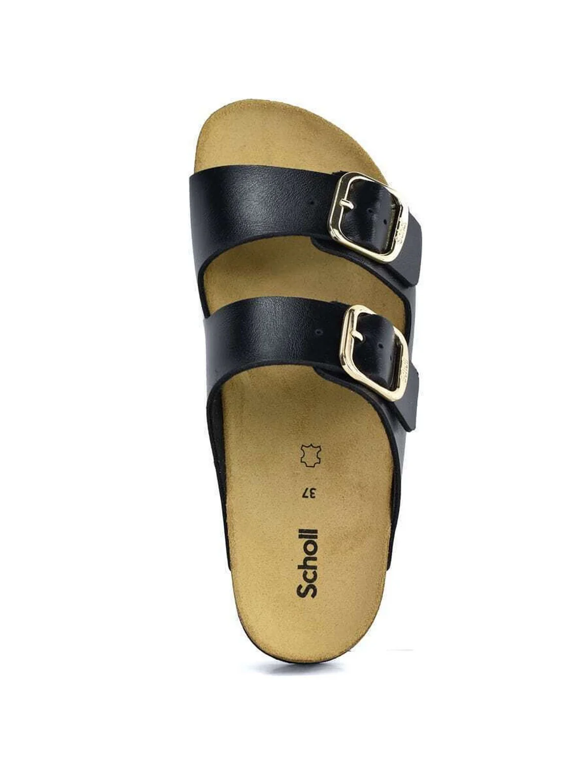 SCHOLL Sandalo Donna JOSEPHINE BLACK LAM SYNTH F321681004 BLACK - Image 2