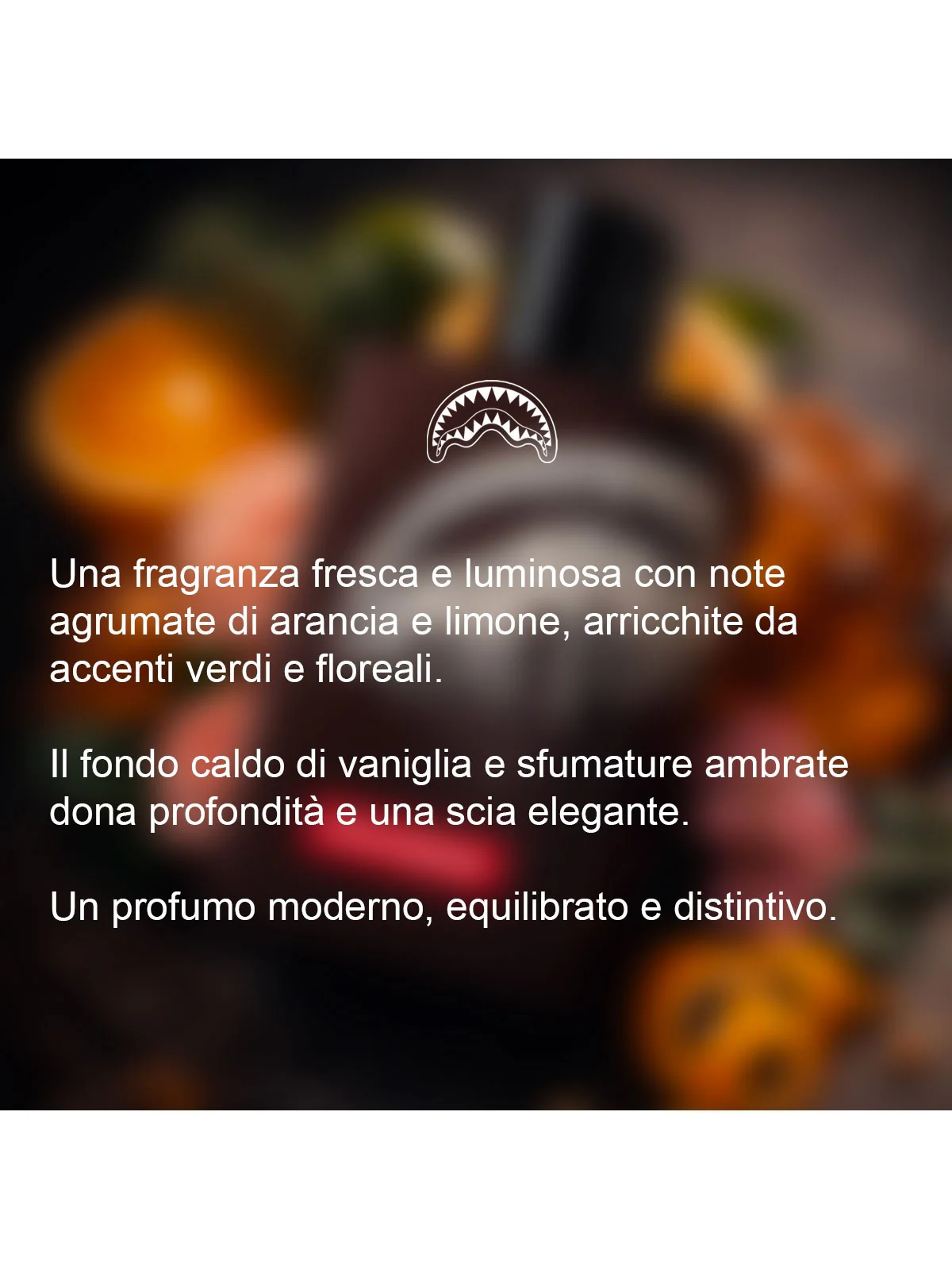 SPRAYGROUND Profumo Uomo BLACK CHECK FRAGRANCE EAU02BROWN - Image 2